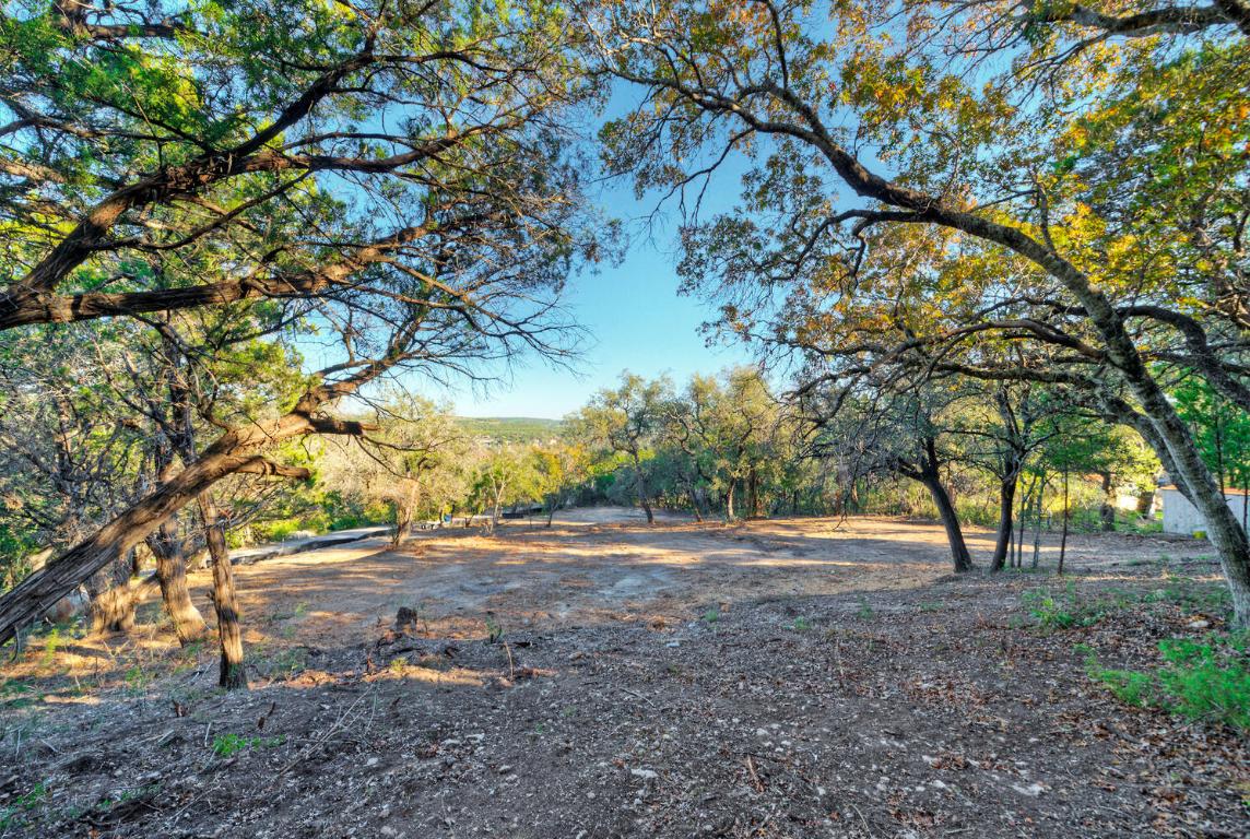 18303 West Rim Drive Jonestown, TX 78645 - Photo 18 of 36