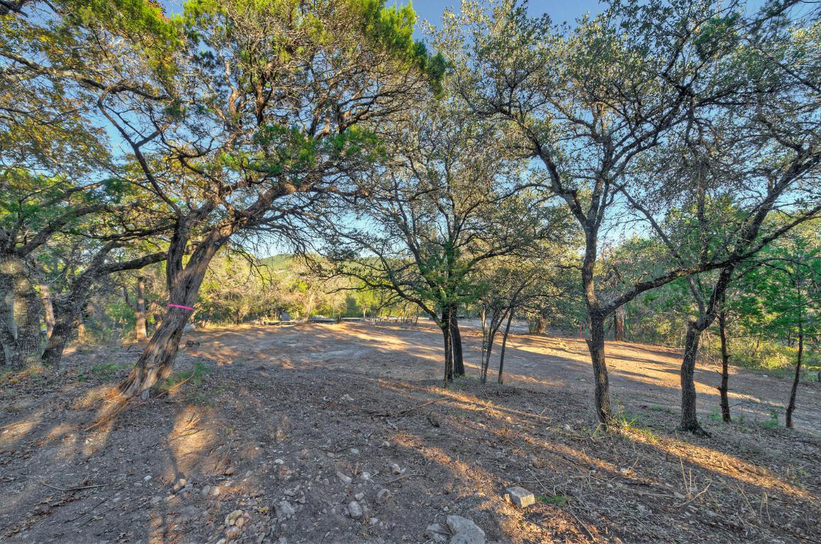 18303 West Rim Drive Jonestown, TX 78645 - Photo 19 of 36