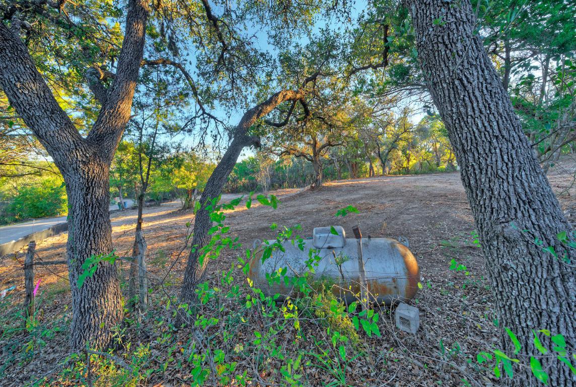 18303 West Rim Drive Jonestown, TX 78645 - Photo 22 of 36 View of yard