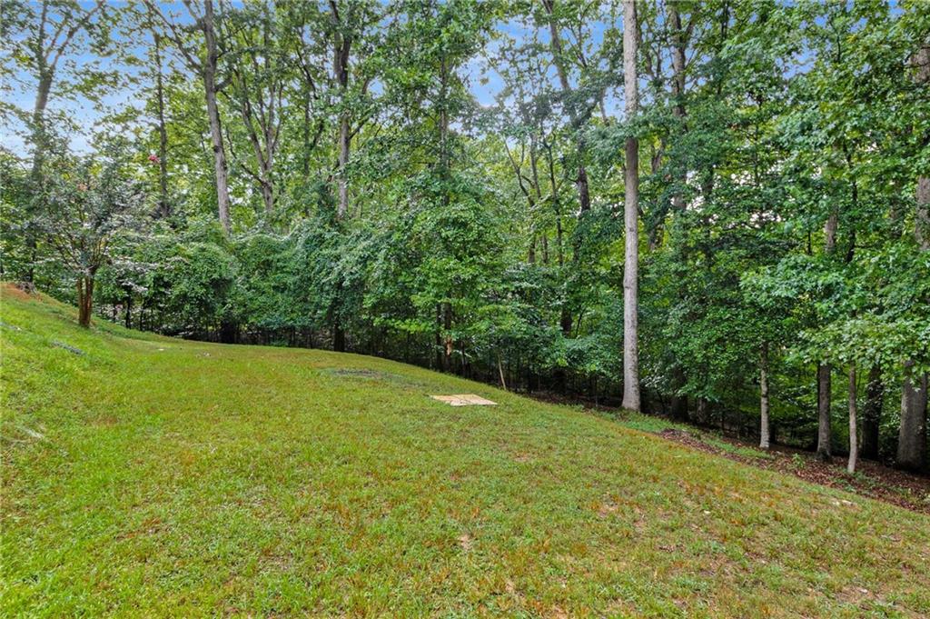 3728 Beaver Creek Road Gainesville, GA 30506 - Photo 25 of 28 a view of a yard with a trees