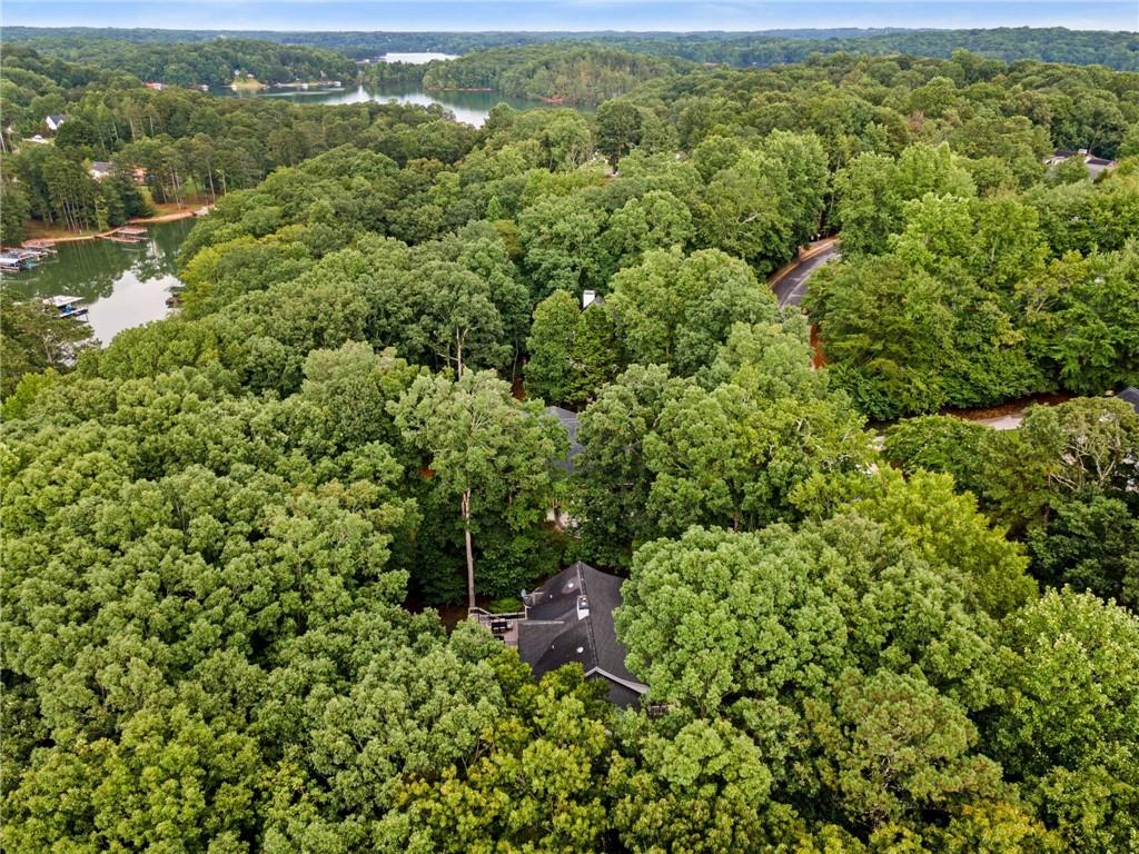 3728 Beaver Creek Road Gainesville, GA 30506 - Photo 27 of 28 a view of a forest with a houses