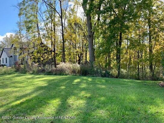 Lot 25 Dimond Way Dimondale, MI 48821 - Photo 14 of 14 lot 25