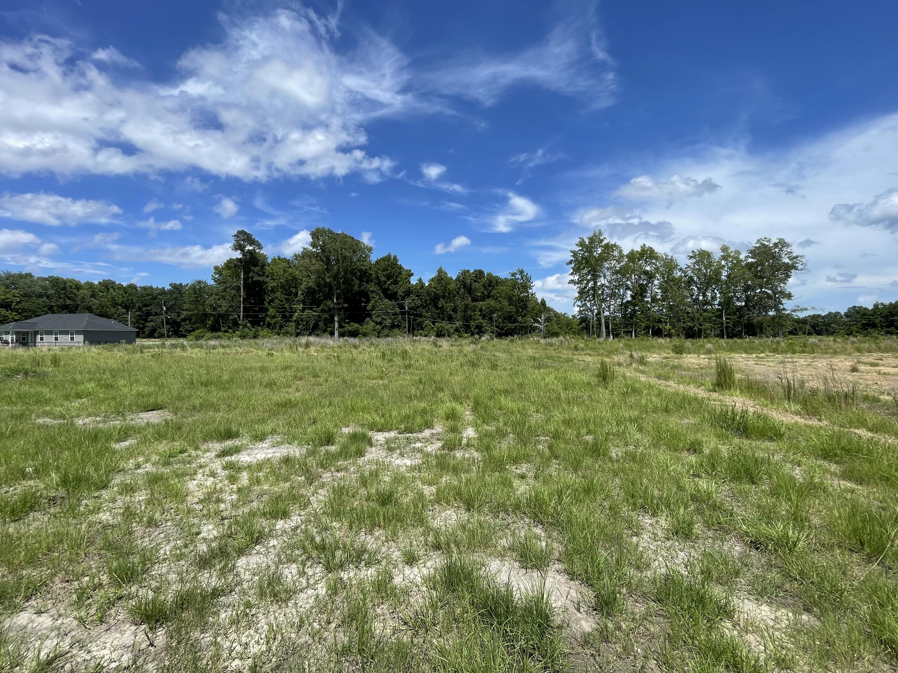 317 South Hampton Street Pinewood, SC 29125 - Photo 31 of 43