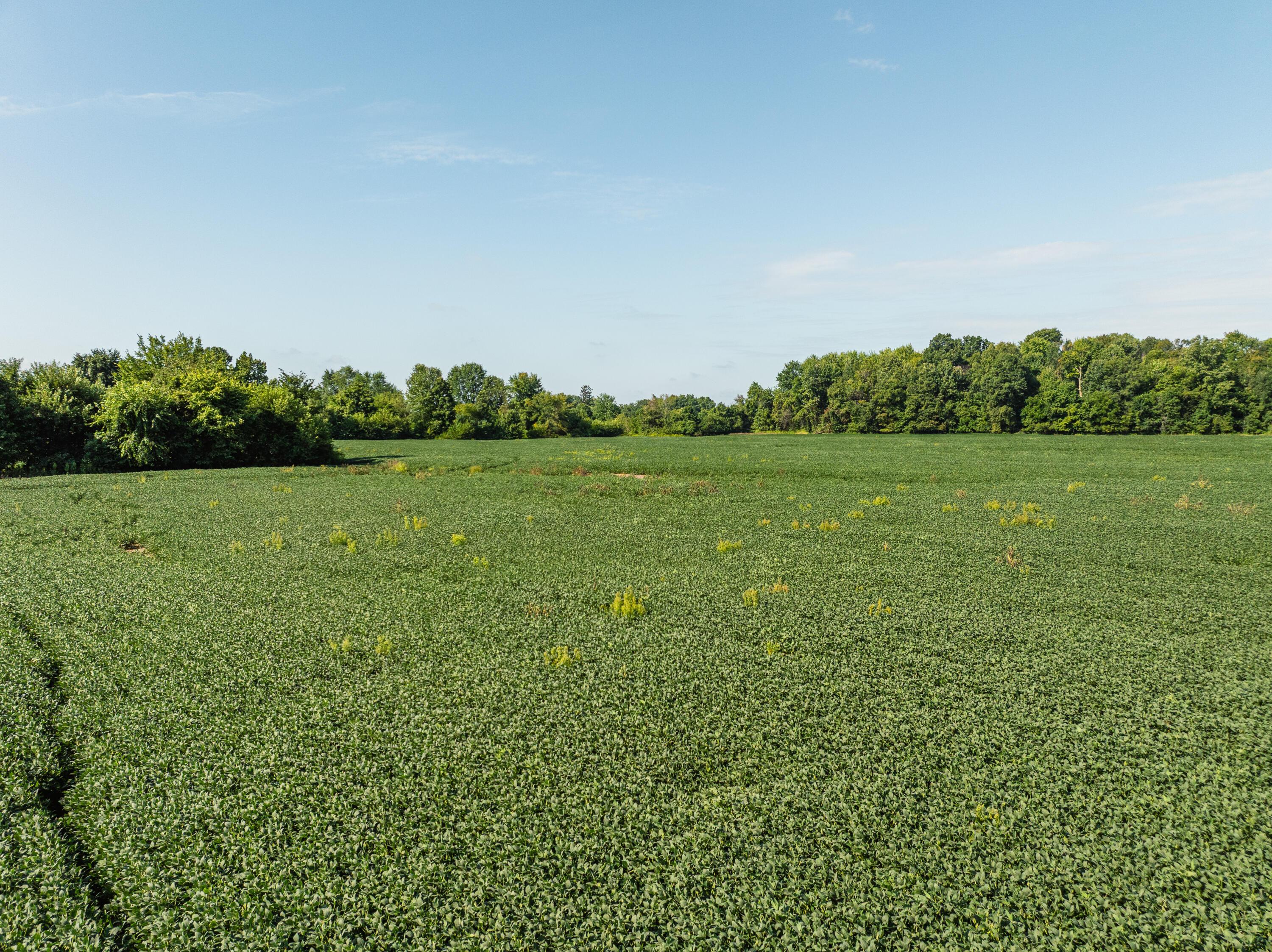 0 Sycamore Road Centerburg, OH 43011 - Photo 2 of 69 DJI_20260827151803_0760_D