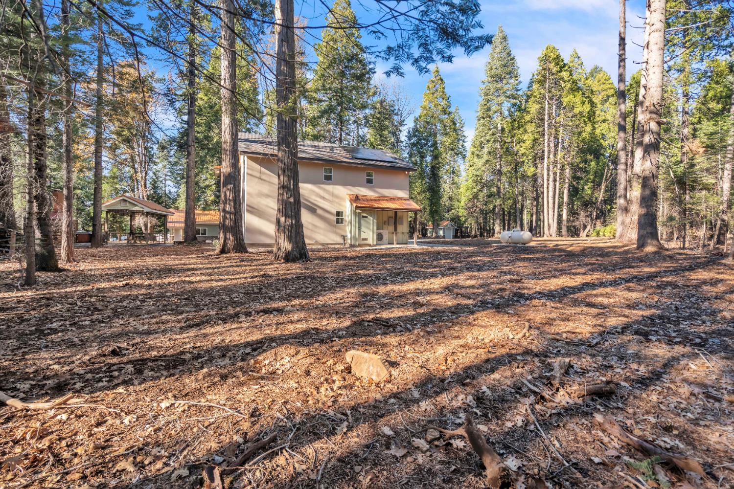 740 Hideaway Loop Alta, CA 95701 - Photo 6 of 74 a view of road with large trees