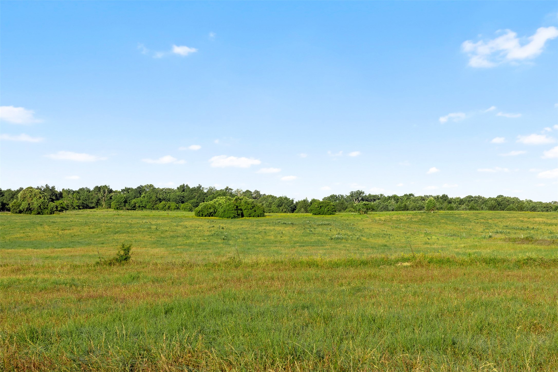 Tbd Little Mississippi Cemetery Road Franklin, TX 77856 - Photo 12 of 35