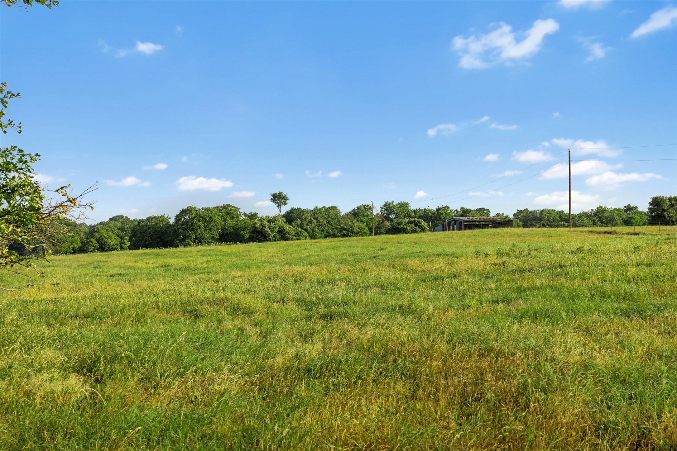 Tbd Little Mississippi Cemetery Road Franklin, TX 77856 - Photo 13 of 35