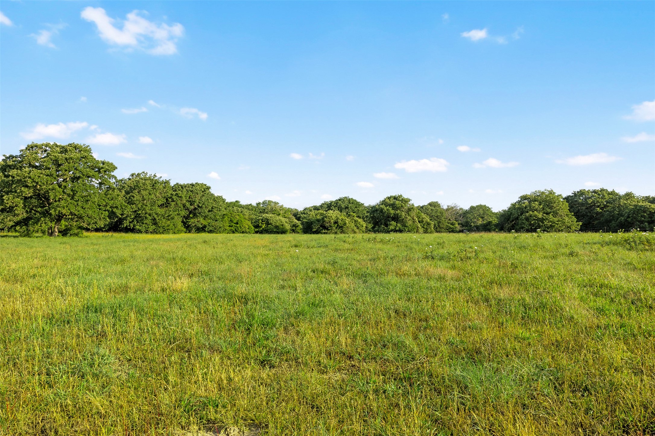 Tbd Little Mississippi Cemetery Road Franklin, TX 77856 - Photo 15 of 35