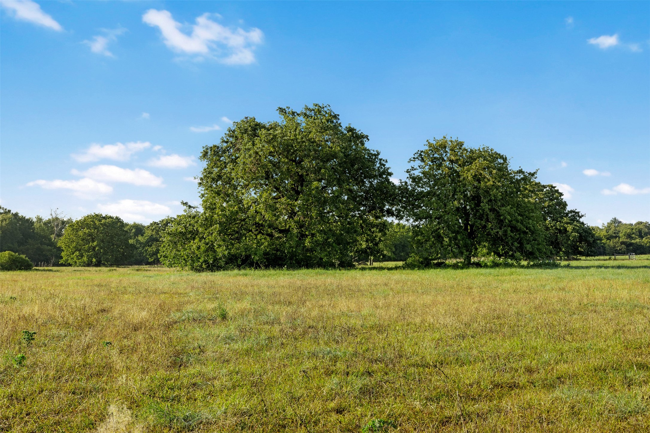 Tbd Little Mississippi Cemetery Road Franklin, TX 77856 - Photo 17 of 35