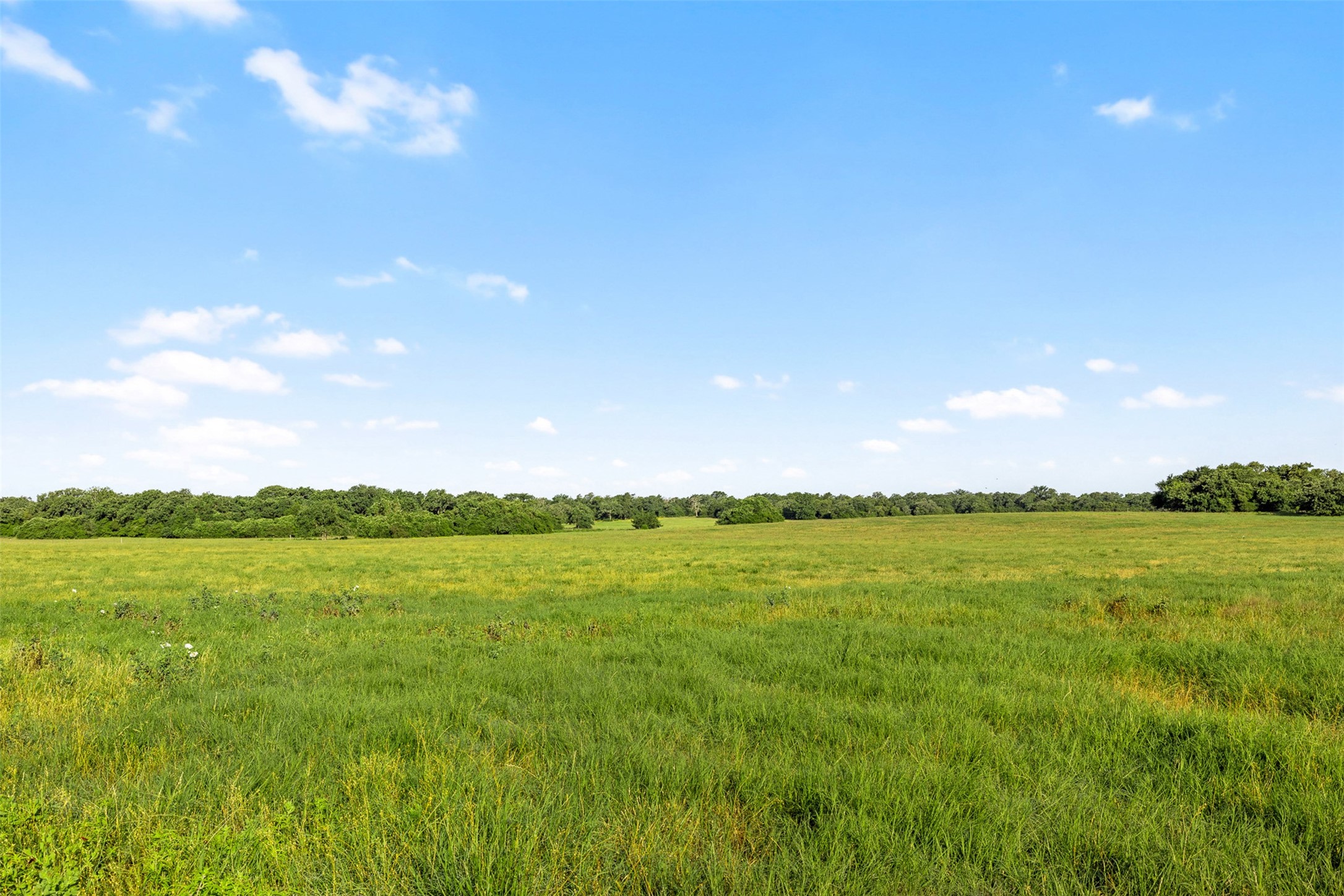 Tbd Little Mississippi Cemetery Road Franklin, TX 77856 - Photo 18 of 35