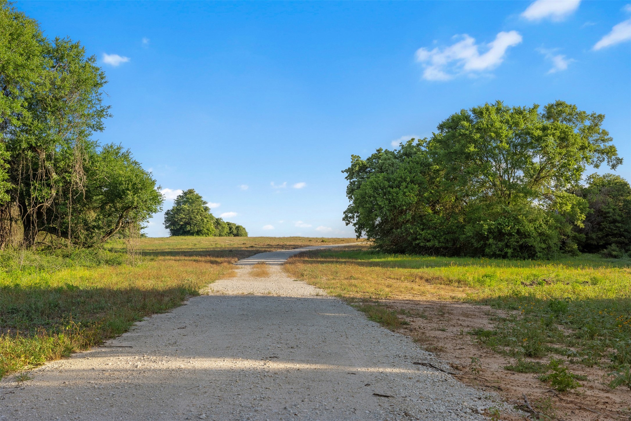 Tbd Little Mississippi Cemetery Road Franklin, TX 77856 - Photo 2 of 35