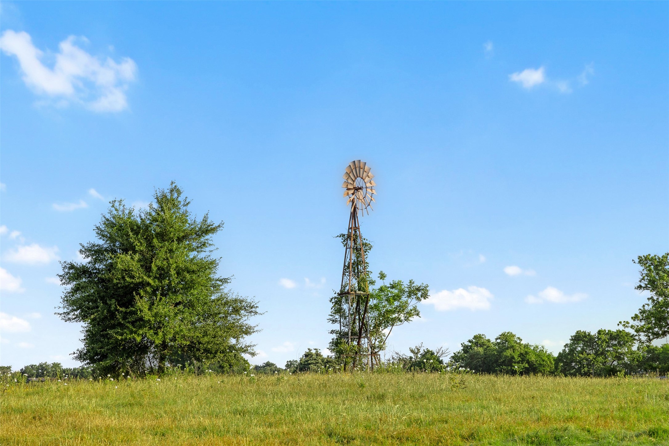 Tbd Little Mississippi Cemetery Road Franklin, TX 77856 - Photo 3 of 35
