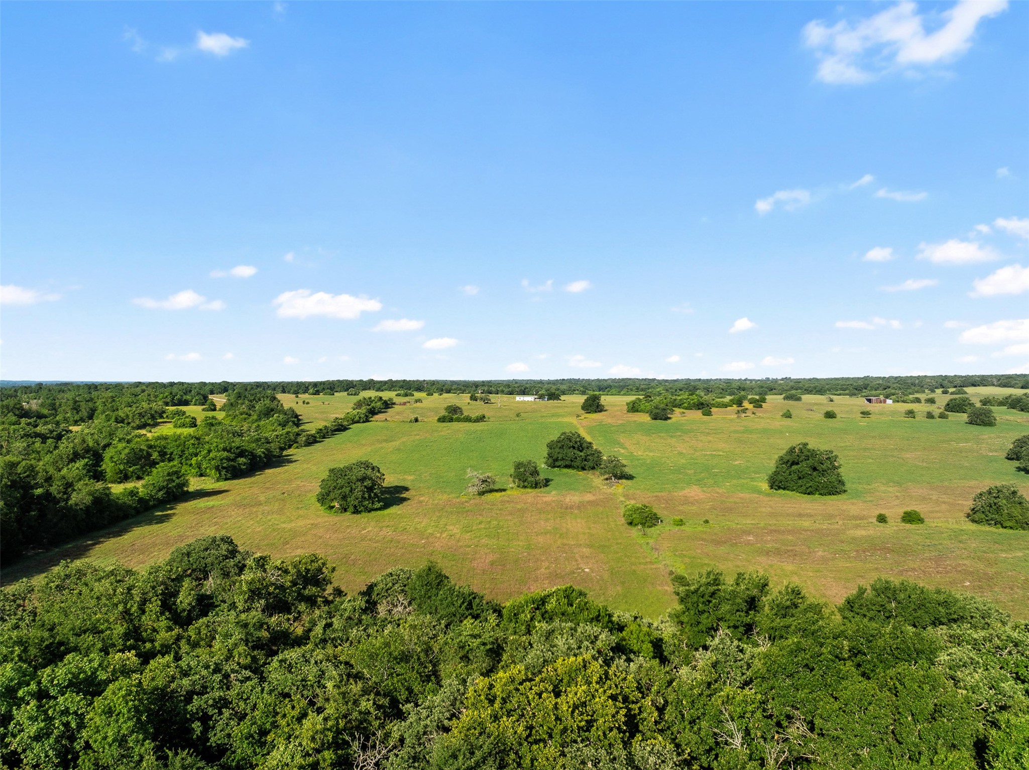 Tbd Little Mississippi Cemetery Road Franklin, TX 77856 - Photo 31 of 35