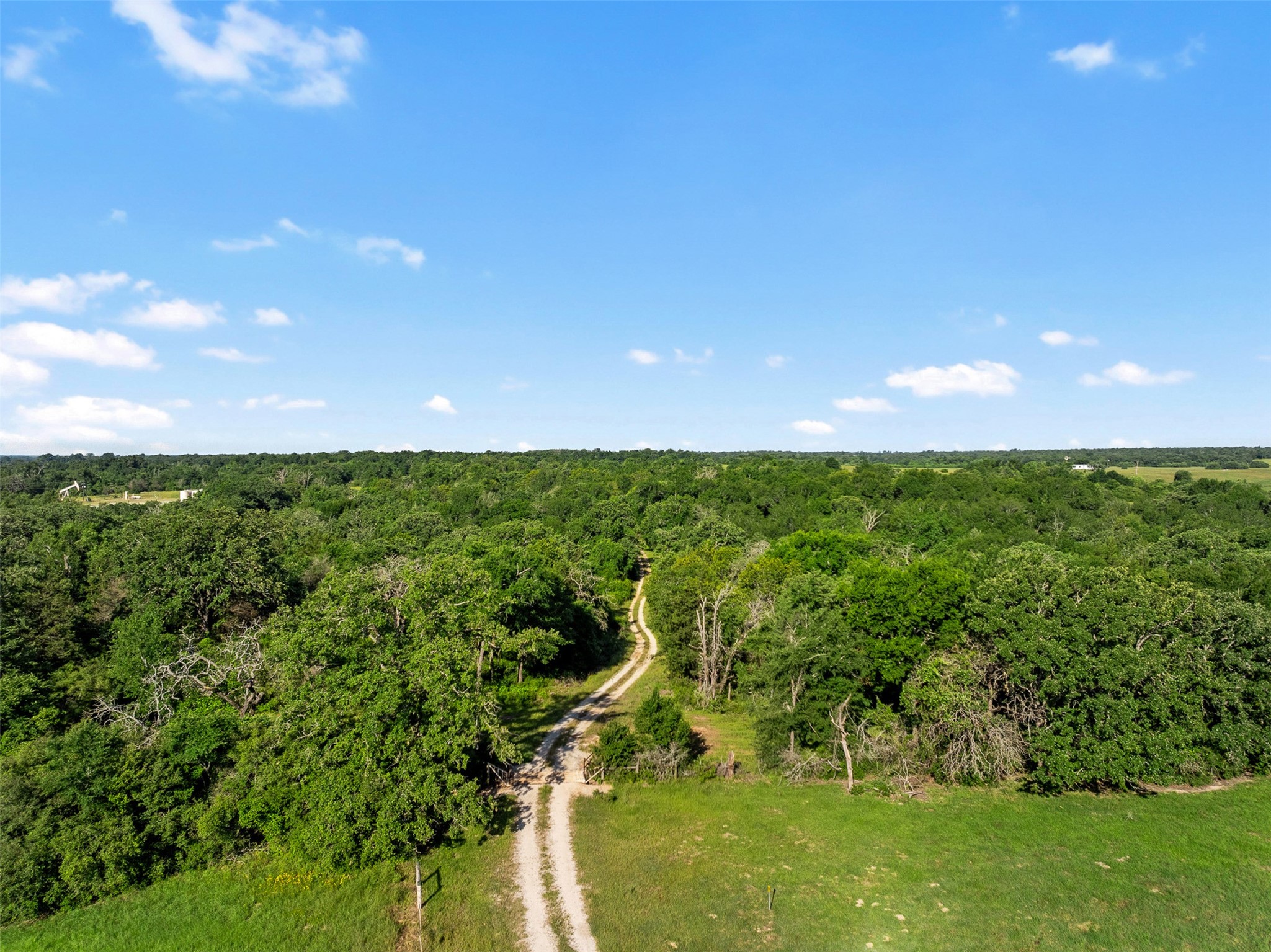 Tbd Little Mississippi Cemetery Road Franklin, TX 77856 - Photo 34 of 35