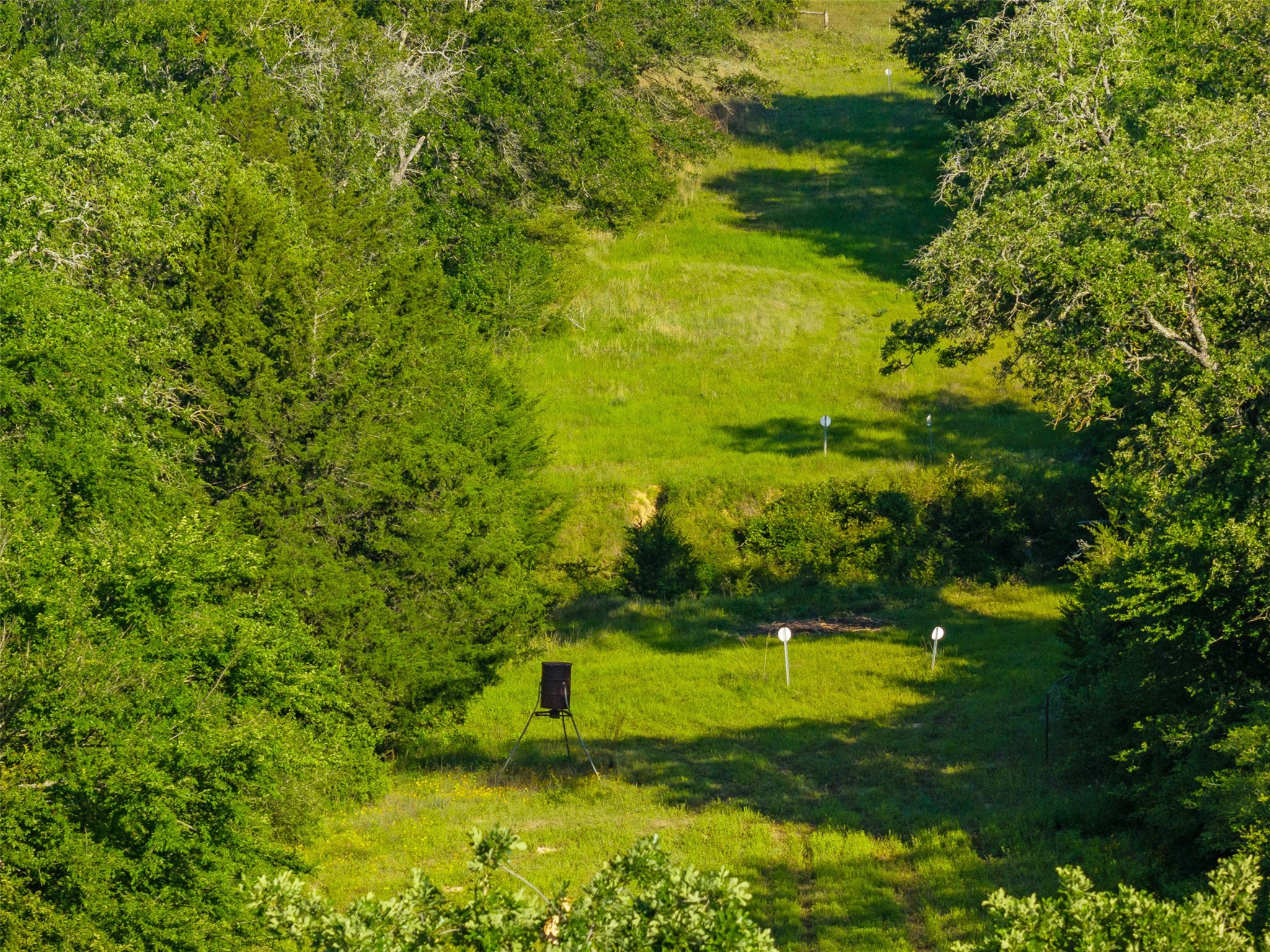 Tbd Little Mississippi Cemetery Road Franklin, TX 77856 - Photo 35 of 35