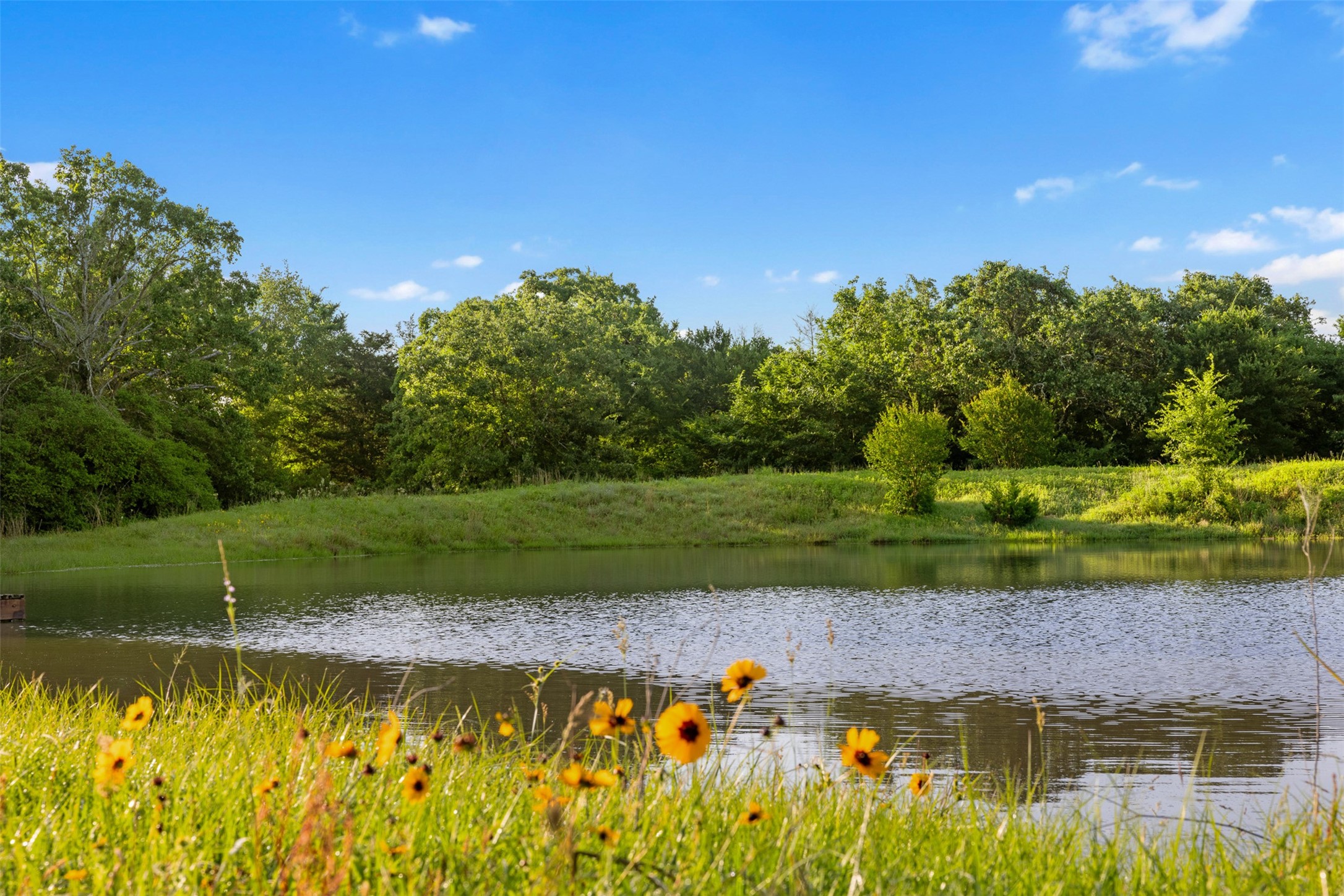 Tbd Little Mississippi Cemetery Road Franklin, TX 77856 - Photo 4 of 35