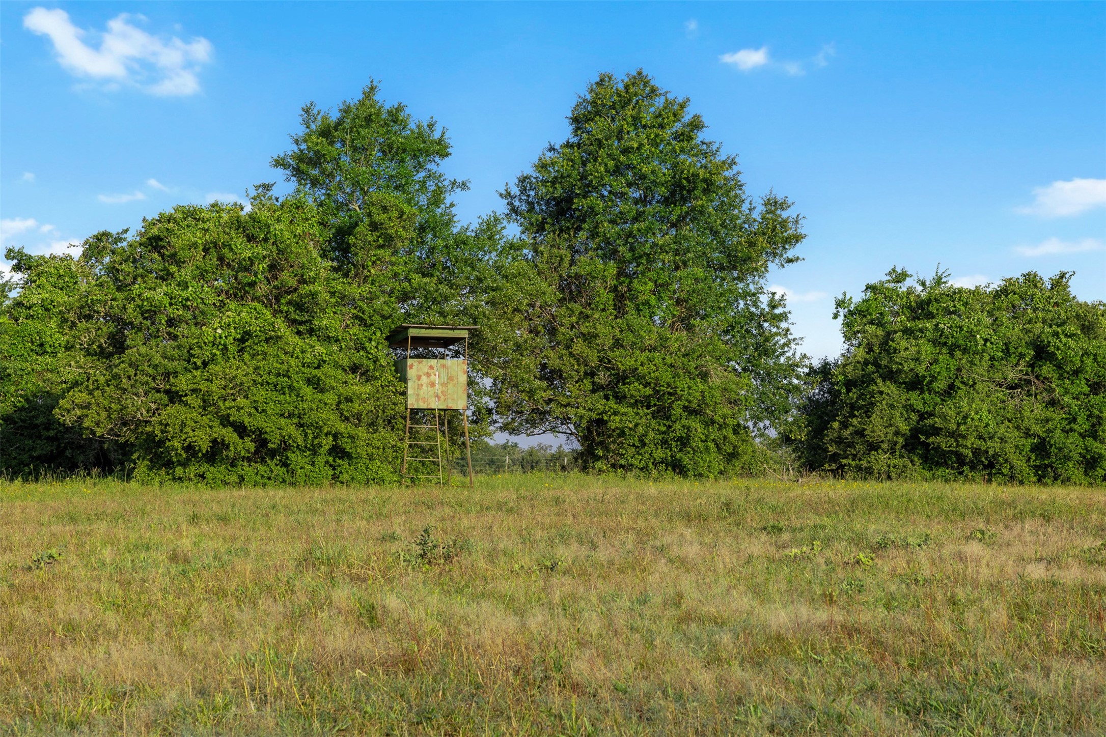 Tbd Little Mississippi Cemetery Road Franklin, TX 77856 - Photo 7 of 35