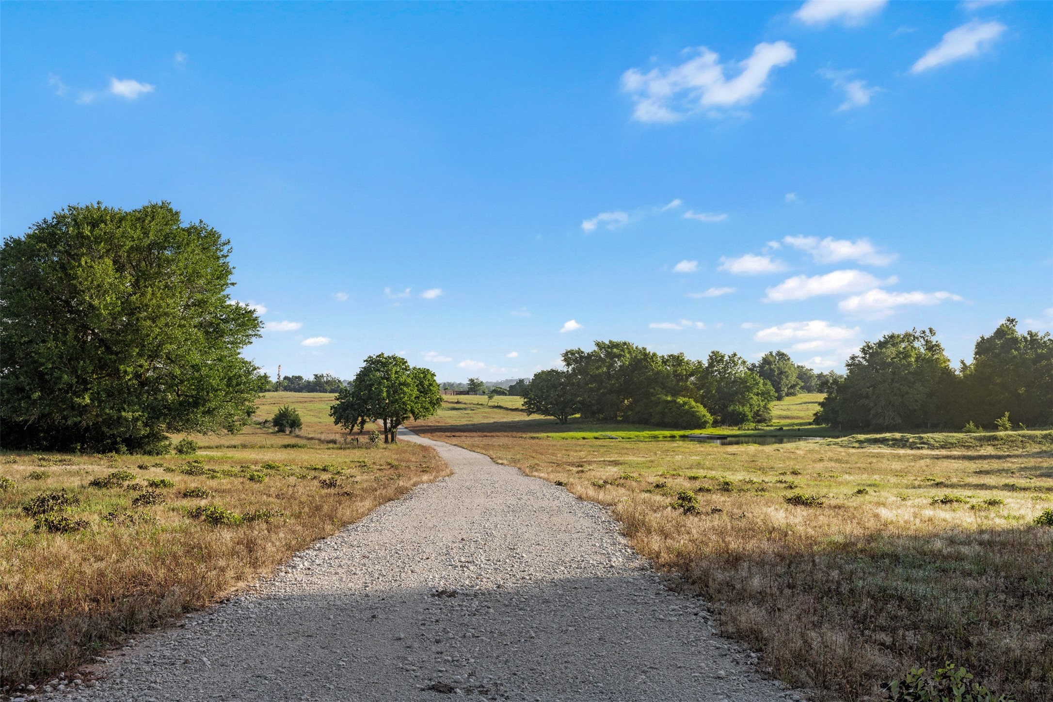 Tbd Little Mississippi Cemetery Road Franklin, TX 77856 - Photo 8 of 35