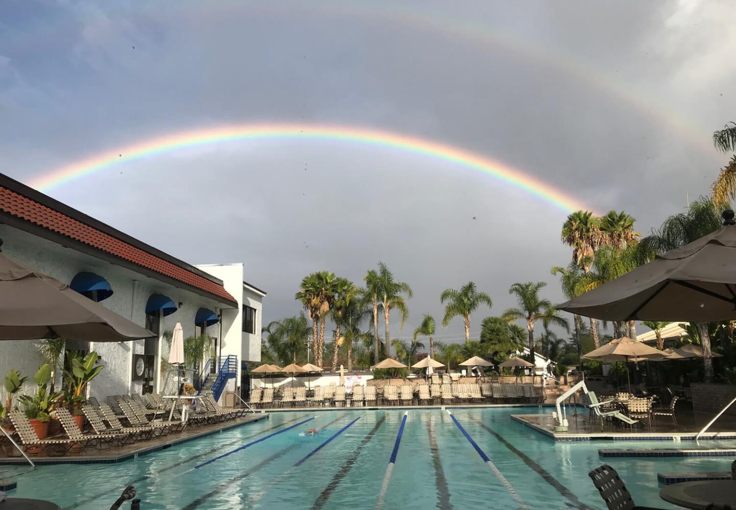5378 Carter Avenue San Jose, CA 95118 - Photo 36 of 38 a dining room filled with furniture and a chandelier
