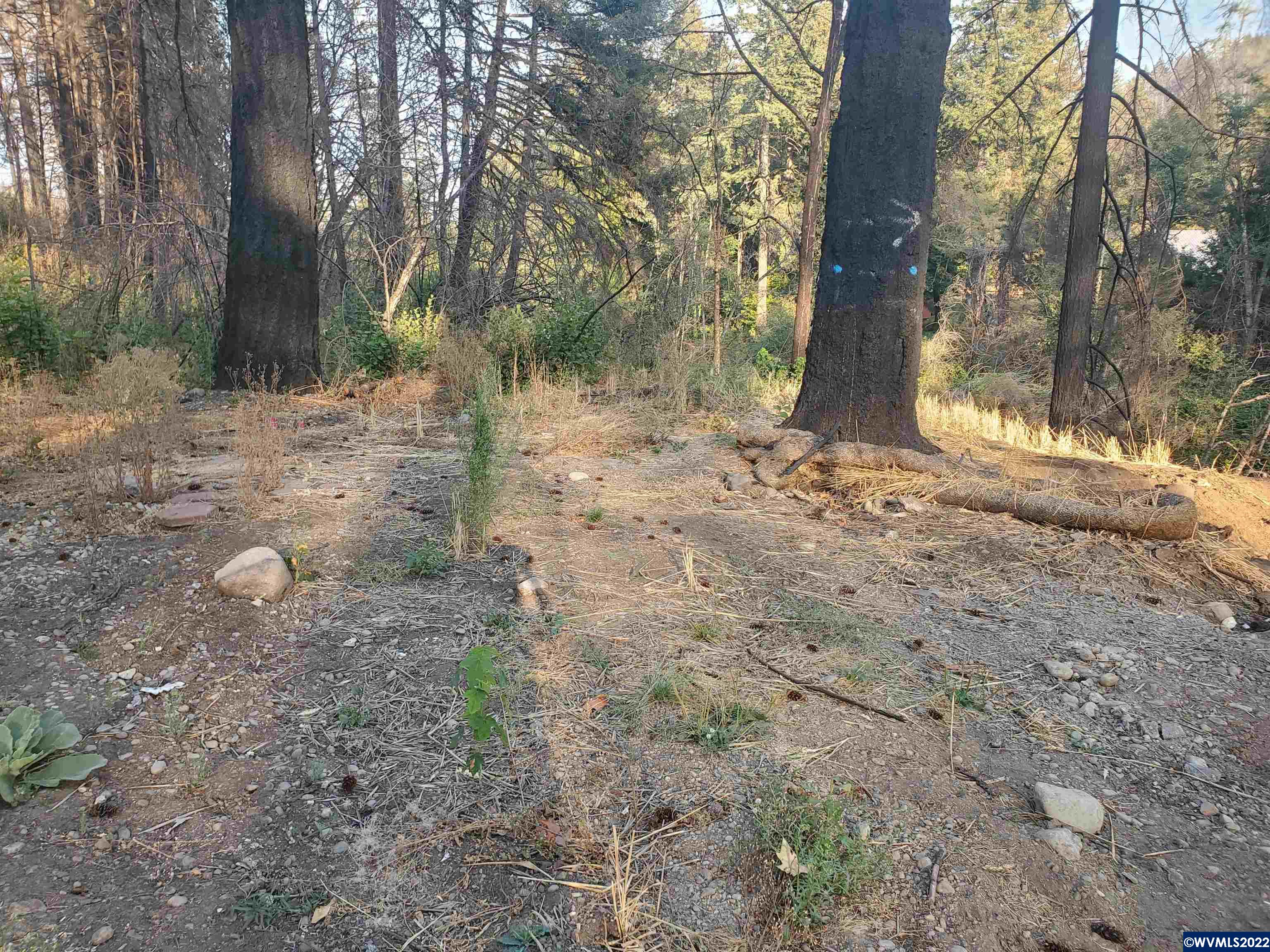 22988 North Fork Road Lyons, OR 97358 - Photo 19 of 26 Gallery Image 19