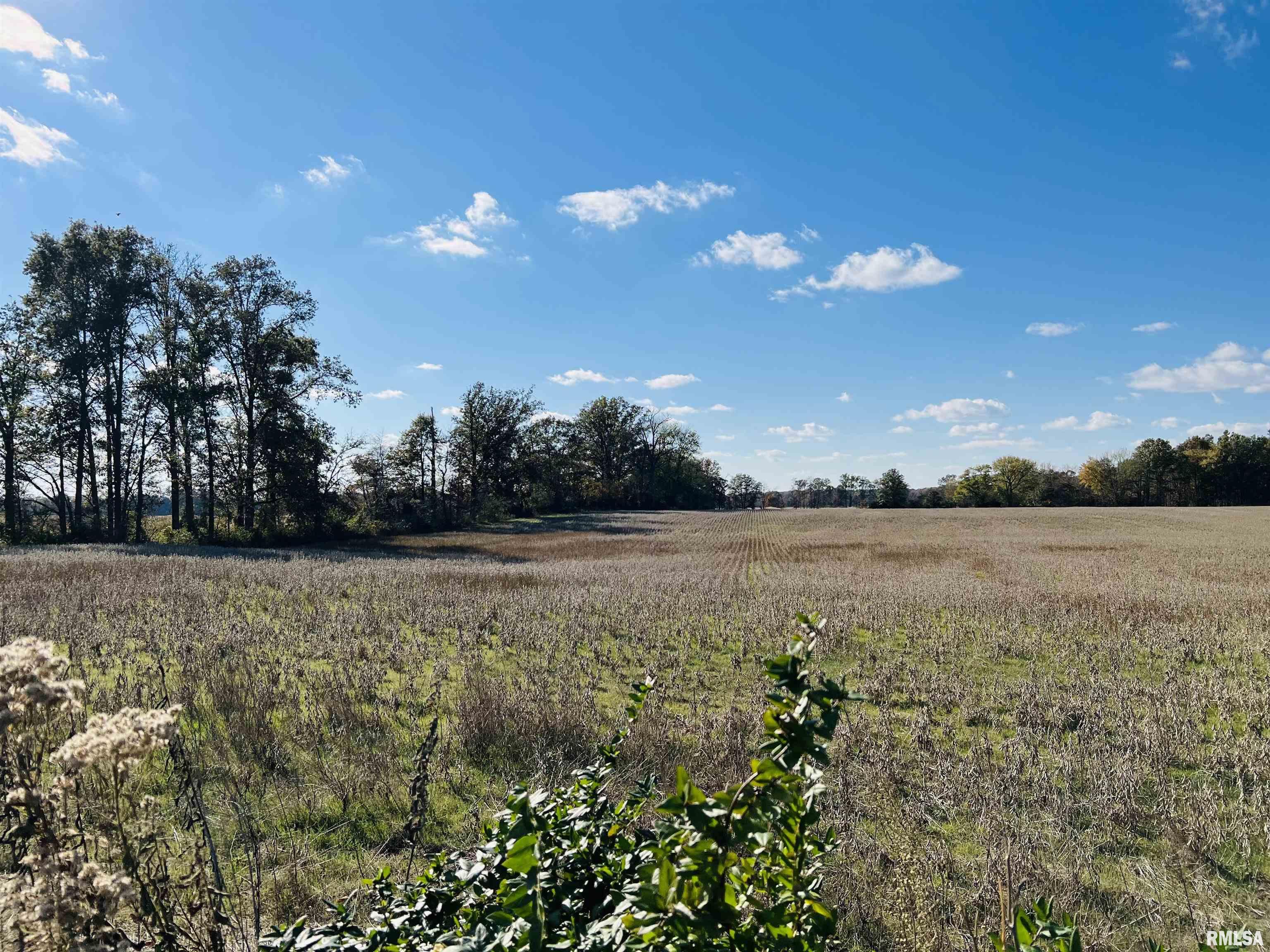 0 North 820 Road McLeansboro, IL 62859 - Photo 1 of 7 Gallery Image 1