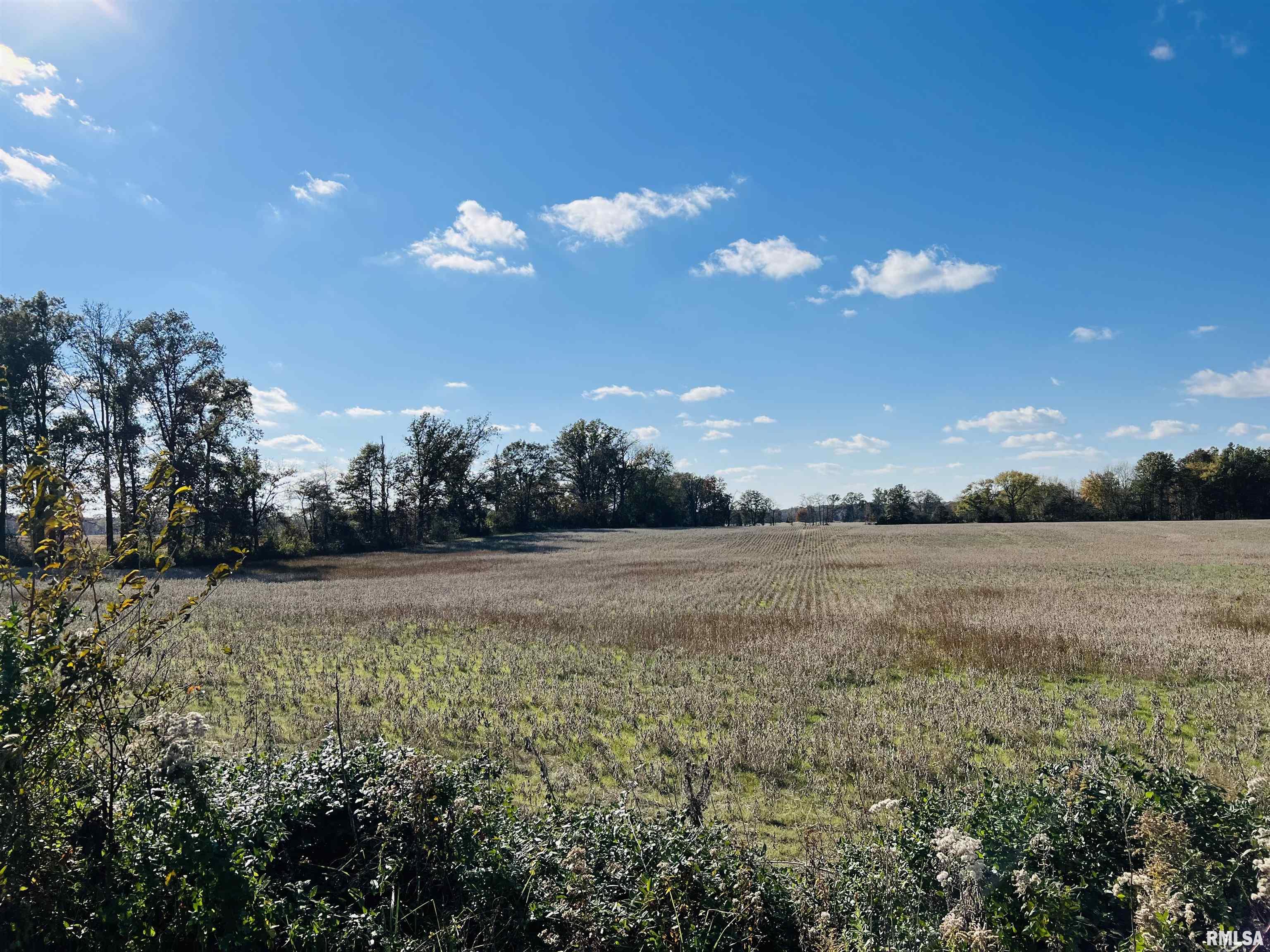0 North 820 Road McLeansboro, IL 62859 - Photo 3 of 7 Gallery Image 3
