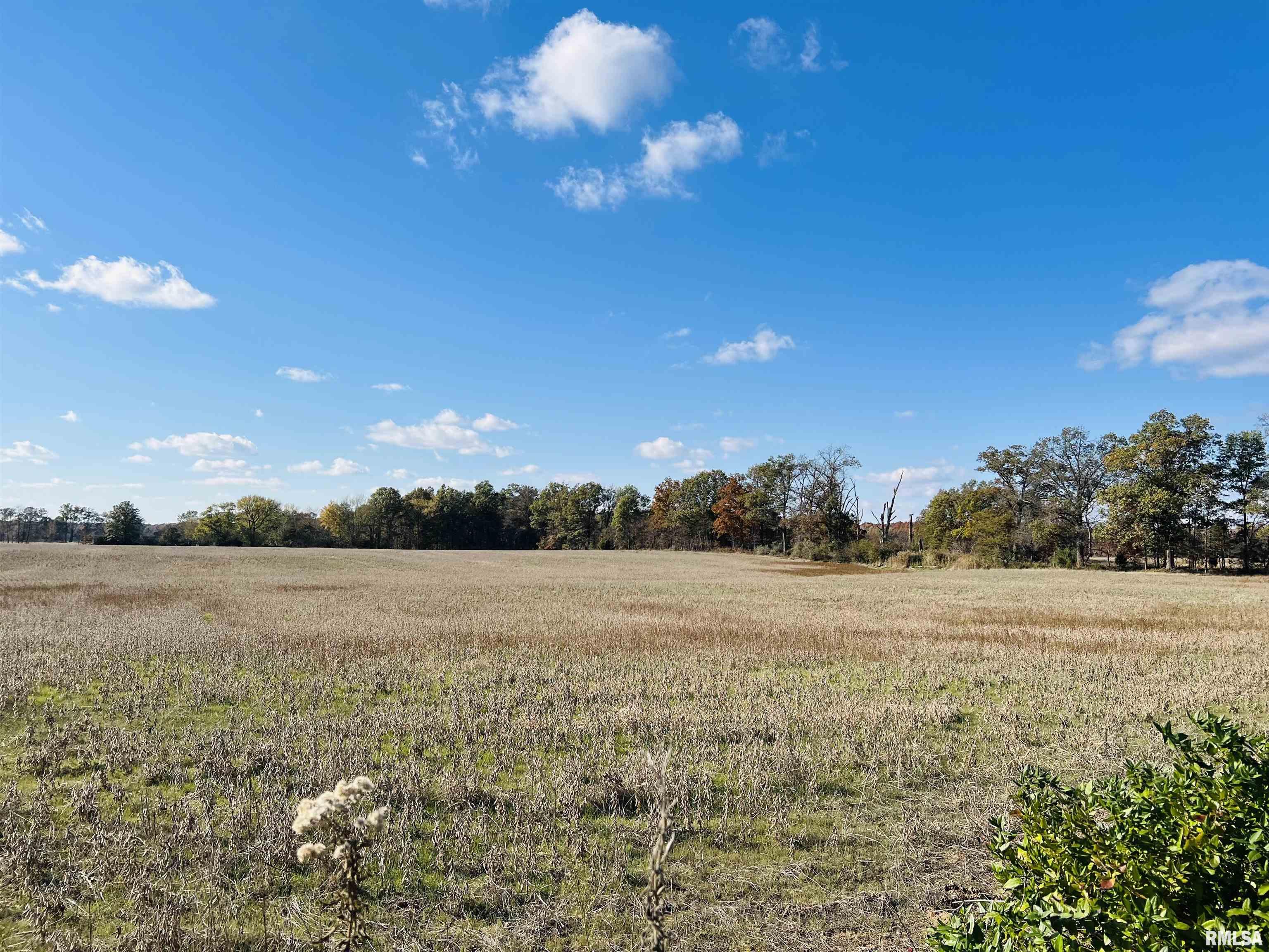 0 North 820 Road McLeansboro, IL 62859 - Photo 4 of 7 Gallery Image 4