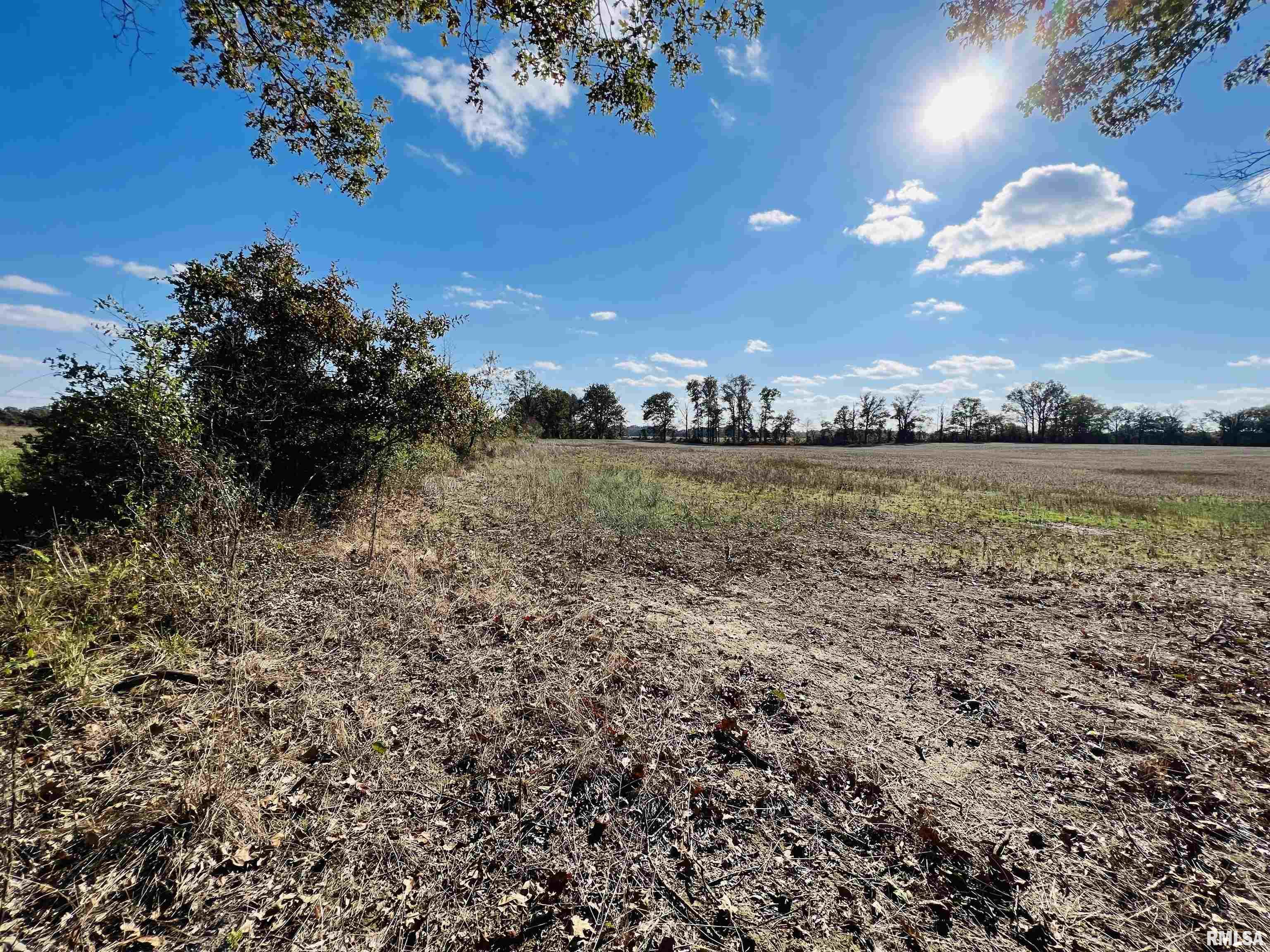 0 North 820 Road McLeansboro, IL 62859 - Photo 5 of 7 Gallery Image 5