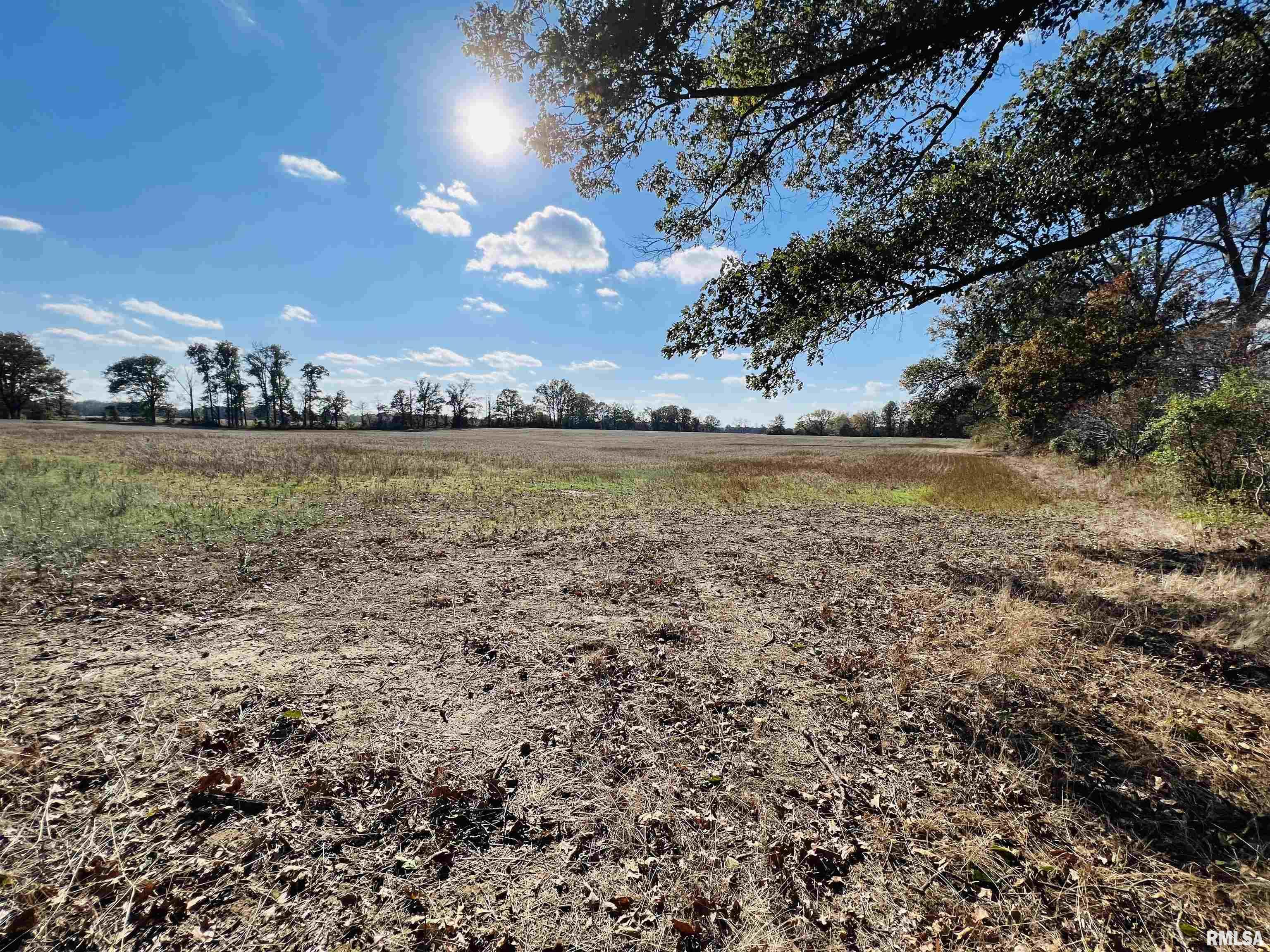 0 North 820 Road McLeansboro, IL 62859 - Photo 6 of 7 Gallery Image 6
