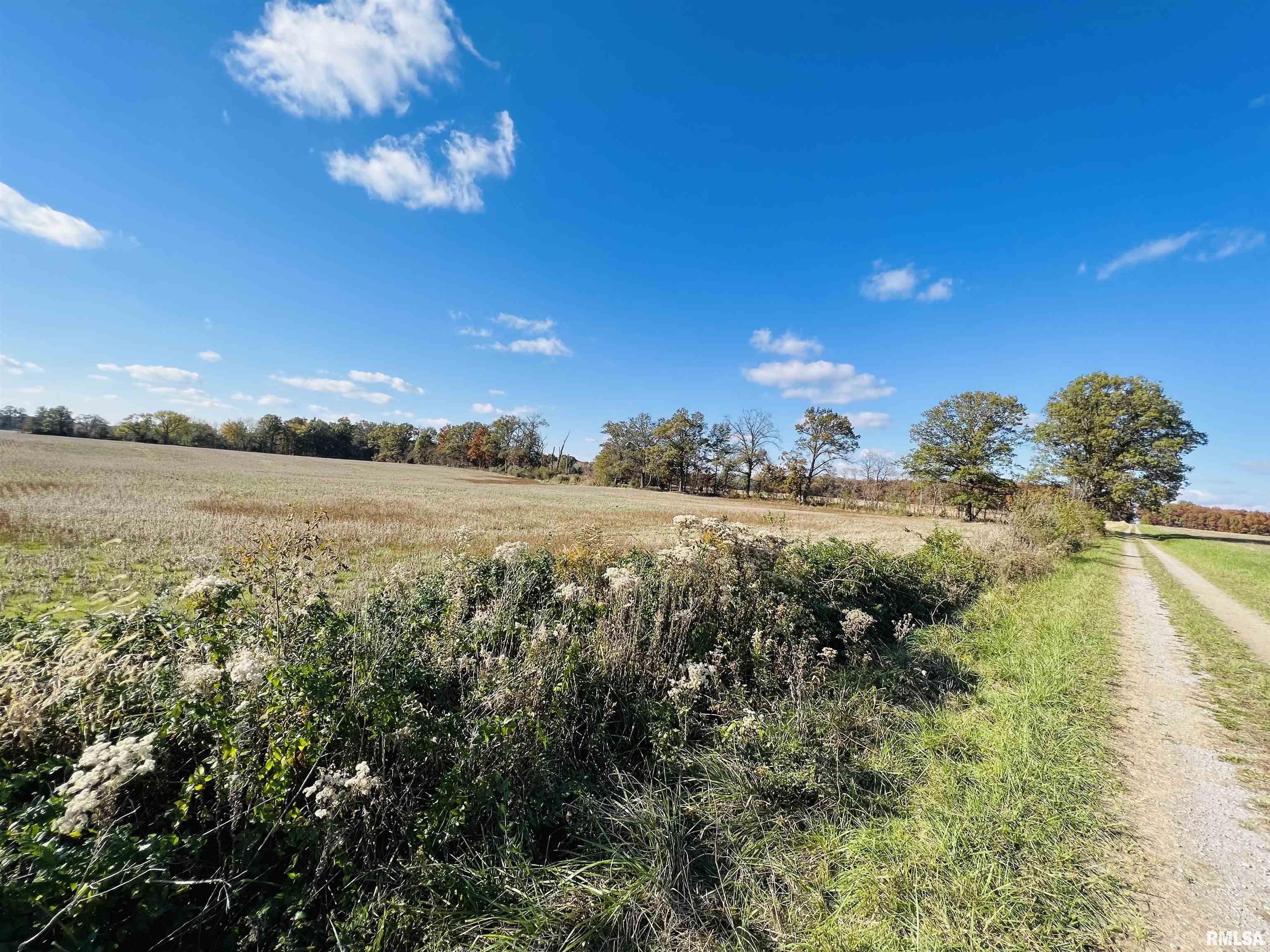 0 North 820 Road McLeansboro, IL 62859 - Photo 7 of 7 Gallery Image 7
