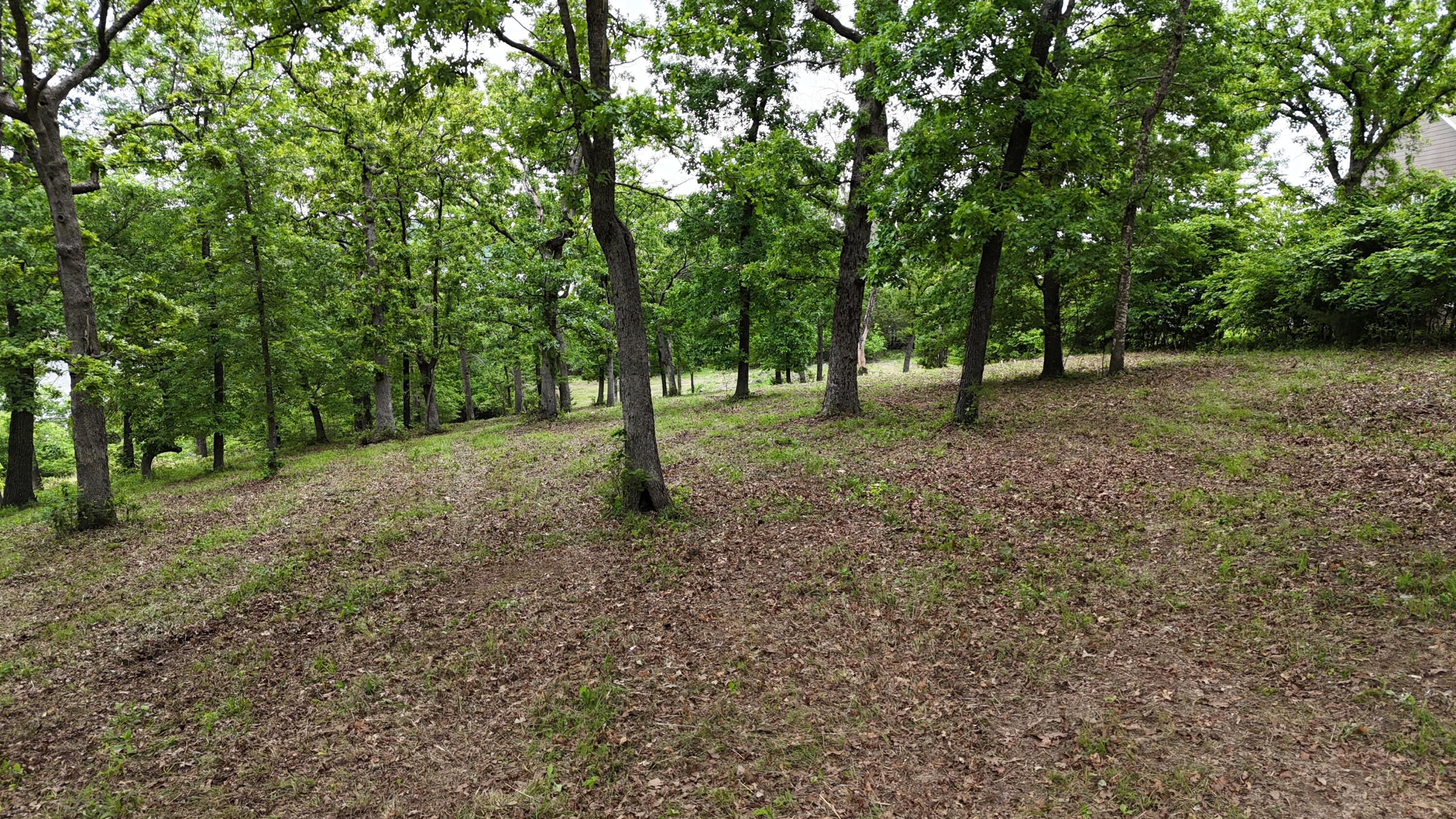 0 Eagles Point Lane Shell Knob, MO 65747 - Photo 16 of 39 DJI_20260501045118_0119_D
