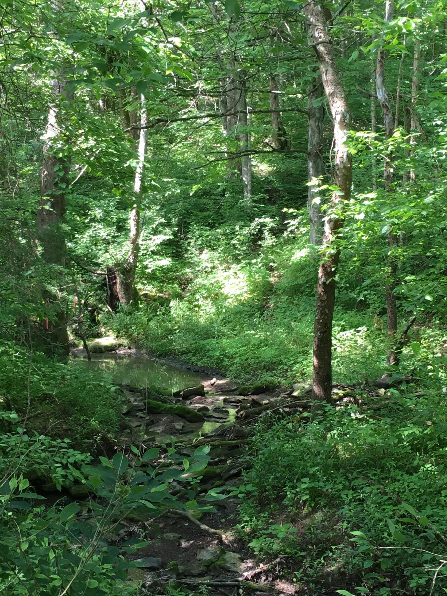 4189 Tick Creek Road Springfield, KY 40069 - Photo 21 of 27 IMG_9450