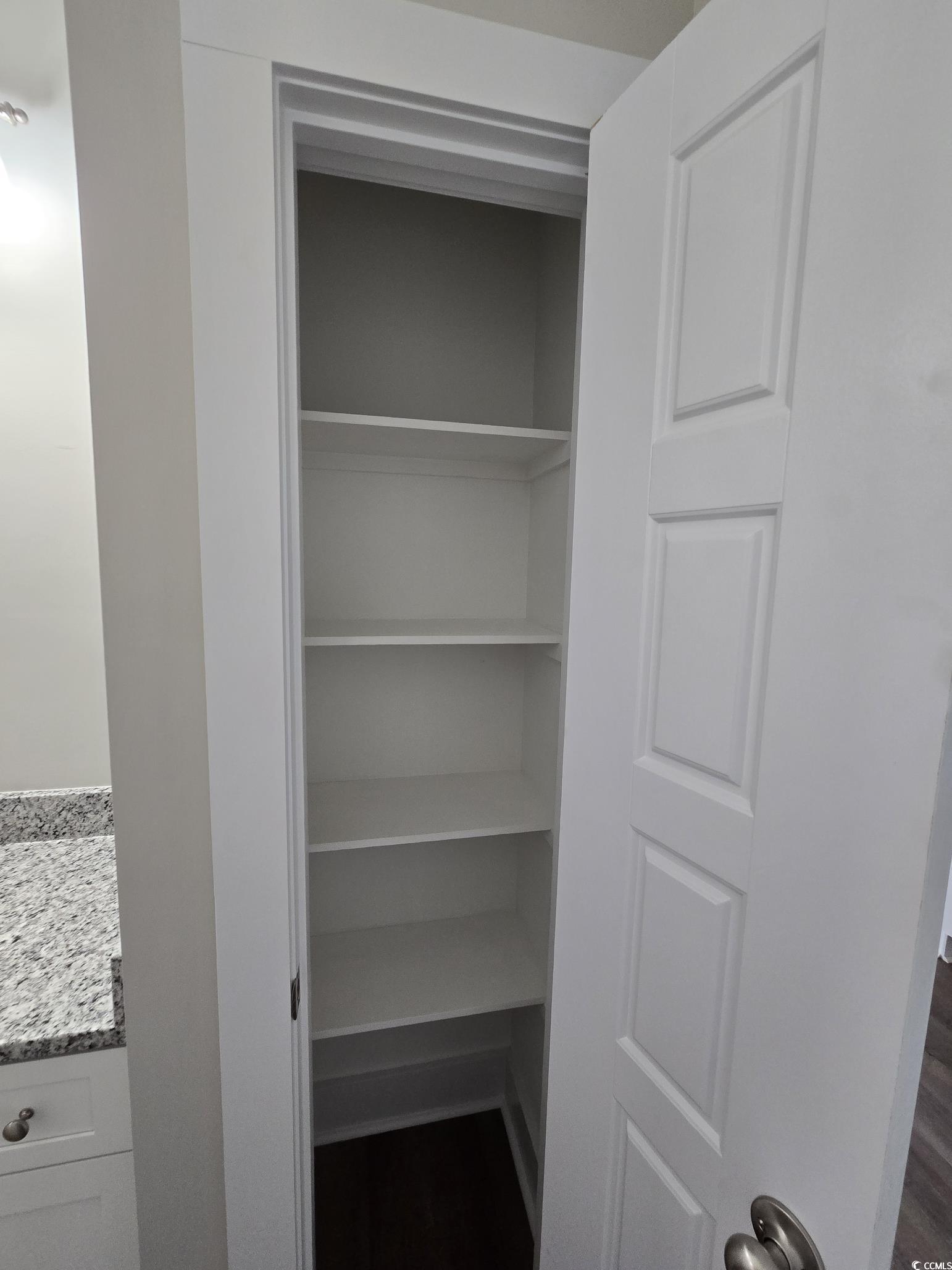 4890 Highway 319 Aynor, SC 29511 - Photo 8 of 21 View of closet