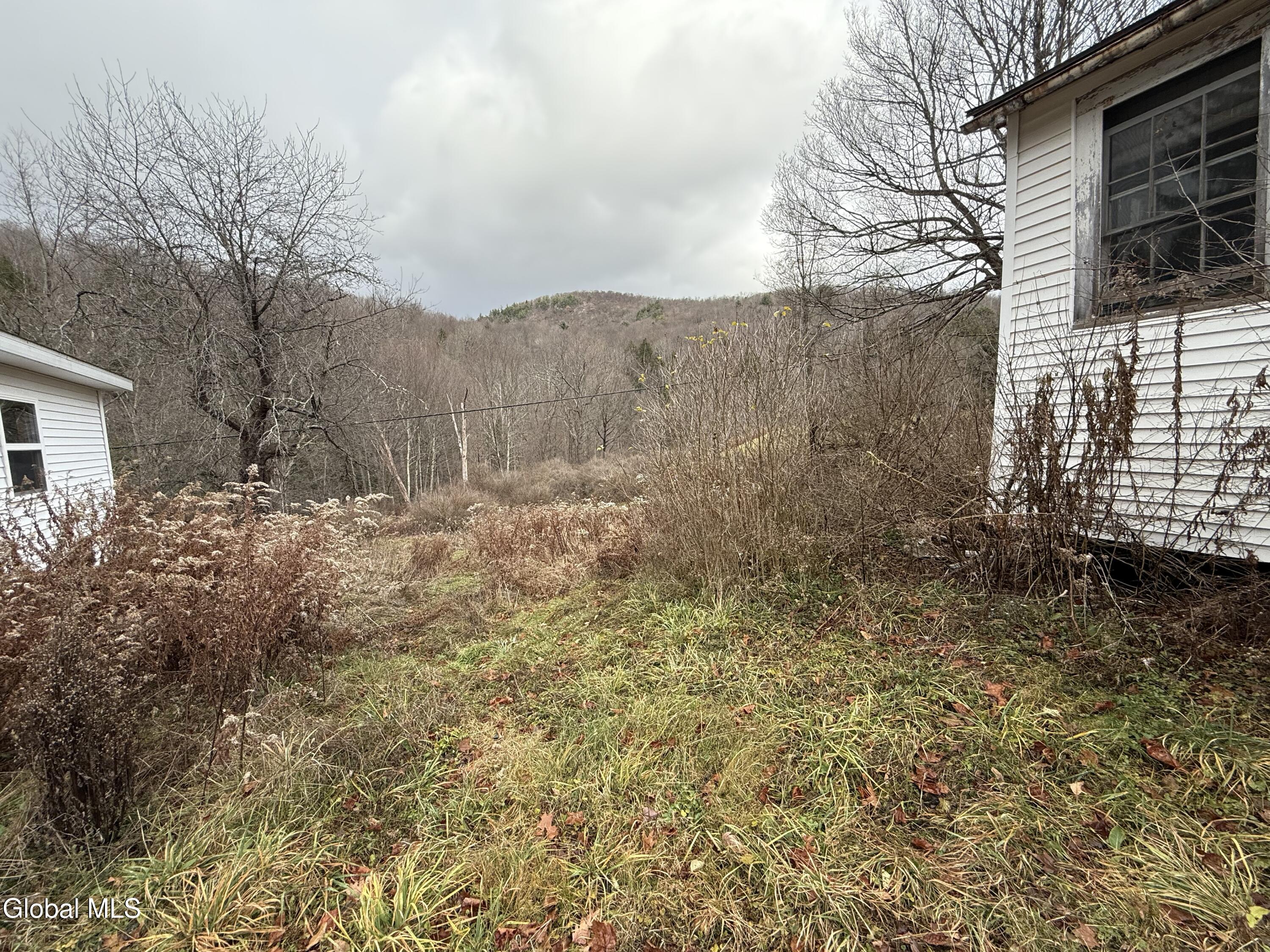 4 Day Foot Road Petersburgh, NY 12138 - Photo 42 of 43 Rear Grounds