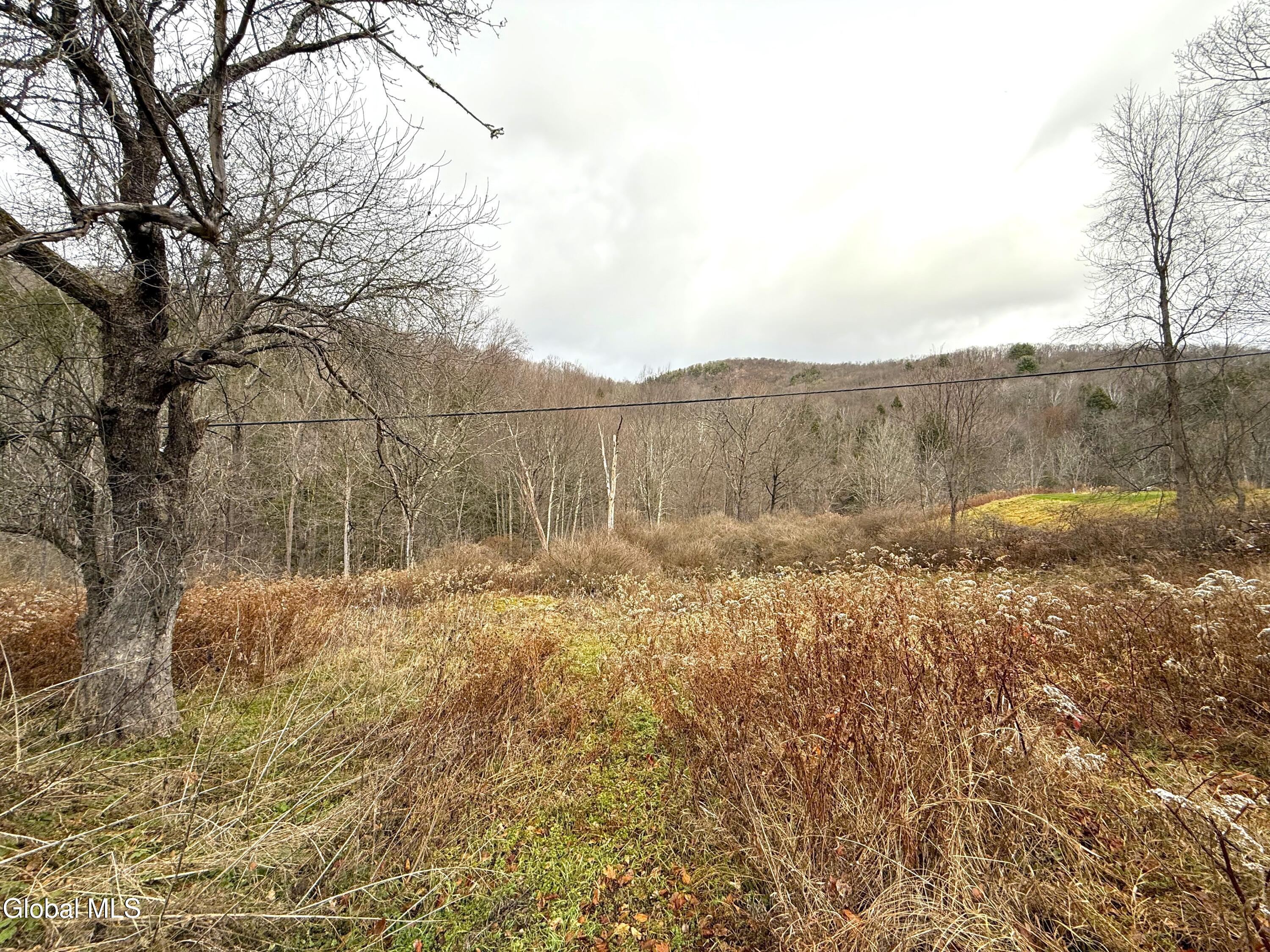 4 Day Foot Road Petersburgh, NY 12138 - Photo 43 of 43 Pasture