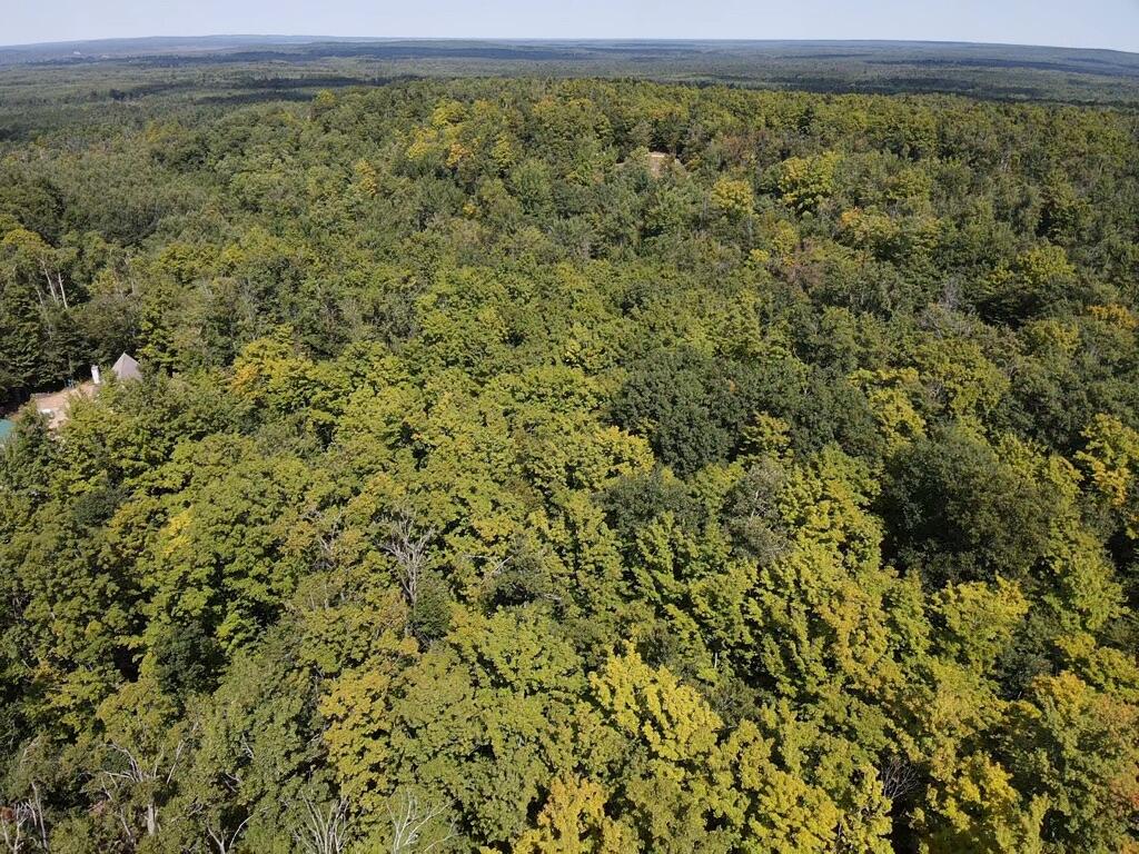 V/l Adams Road Wolverine, MI 49799 - Photo 11 of 14 Gallery Image 11