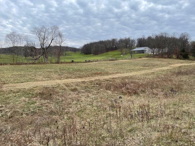 0 Kochheiser Road West Bellville, OH 44813 - Photo 14 of 16 9052244_8