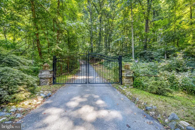 a view of a street with a trees