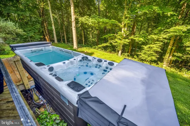 a view of a yard with plants