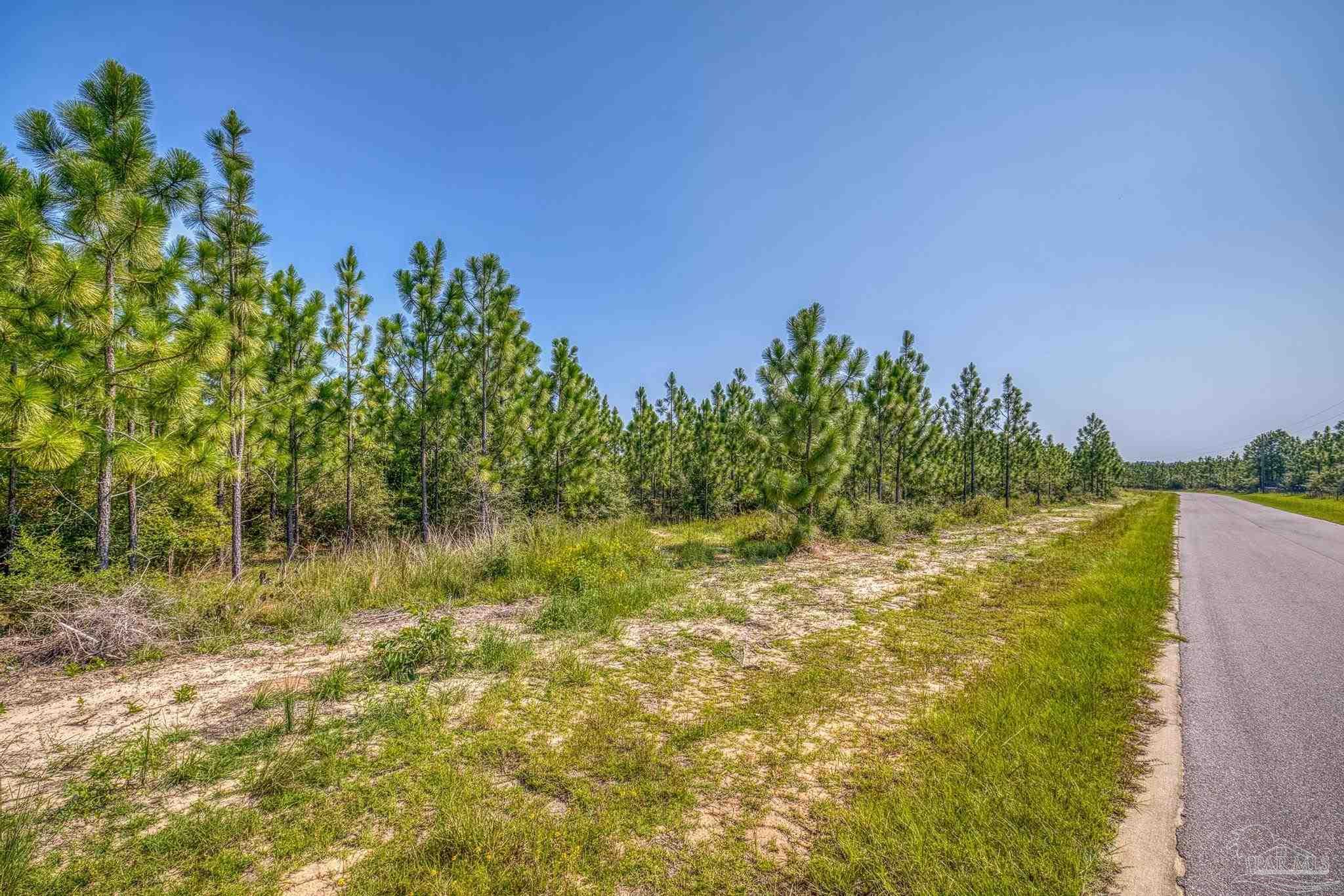 Lot 8 Southwest Waterfall Street Pace, FL 32571 - Photo 5 of 21 Gallery Image 5