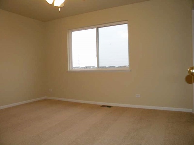 2526 Rourke Drive Aurora, IL 60503 - Photo 12 of 21