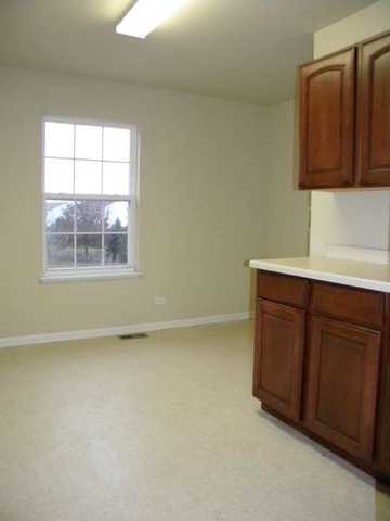 2526 Rourke Drive Aurora, IL 60503 - Photo 16 of 21