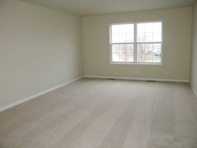 2526 Rourke Drive Aurora, IL 60503 - Photo 10 of 21