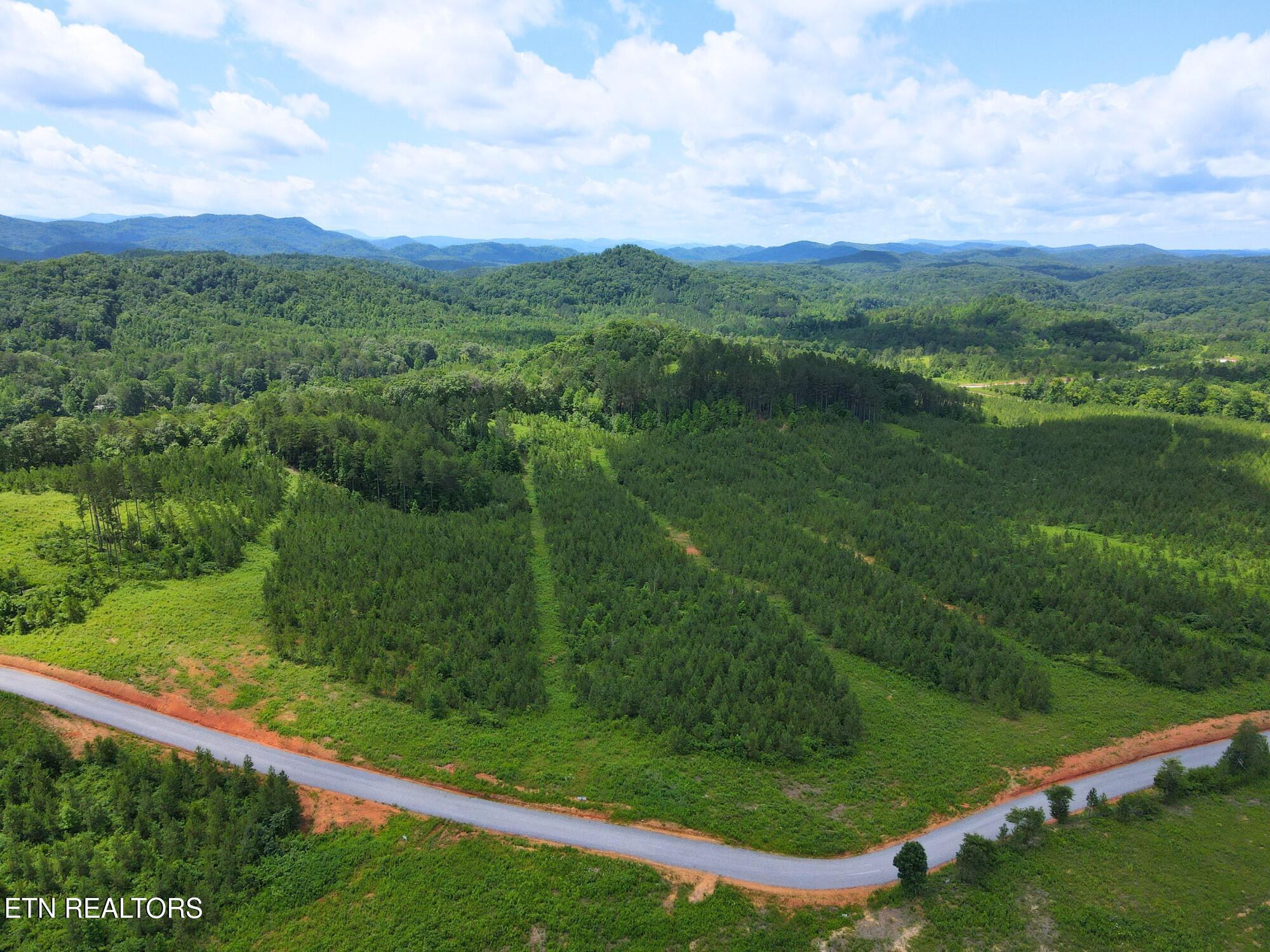 Lot 54 Three Point Road Vonore, TN 37885 - Photo 11 of 24 2