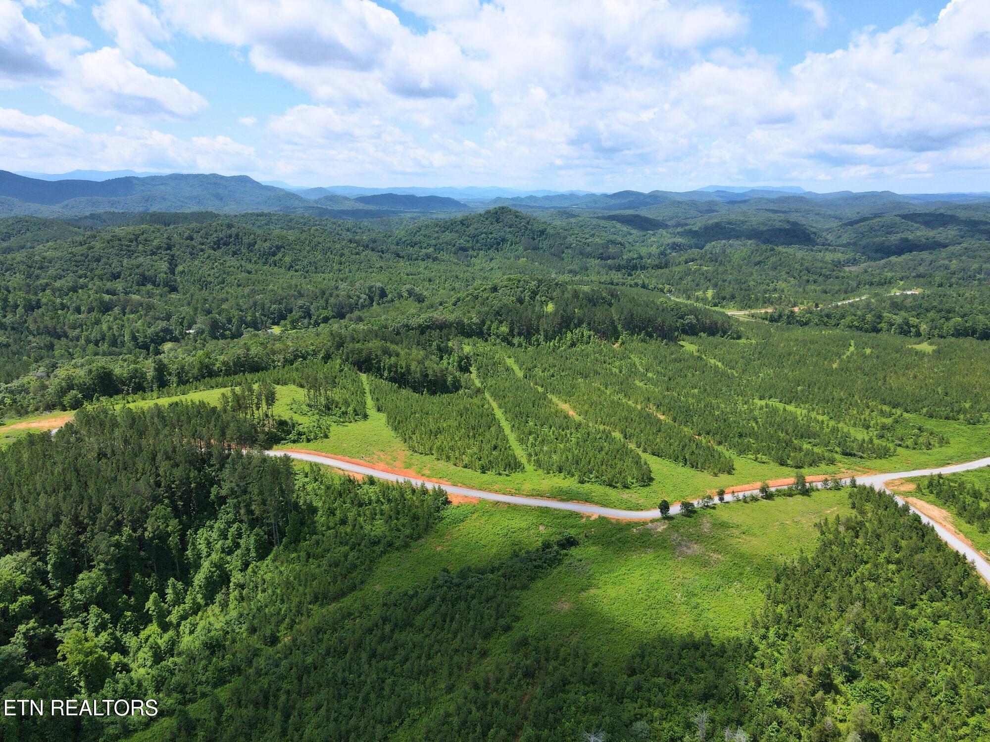 Lot 54 Three Point Road Vonore, TN 37885 - Photo 20 of 24 9