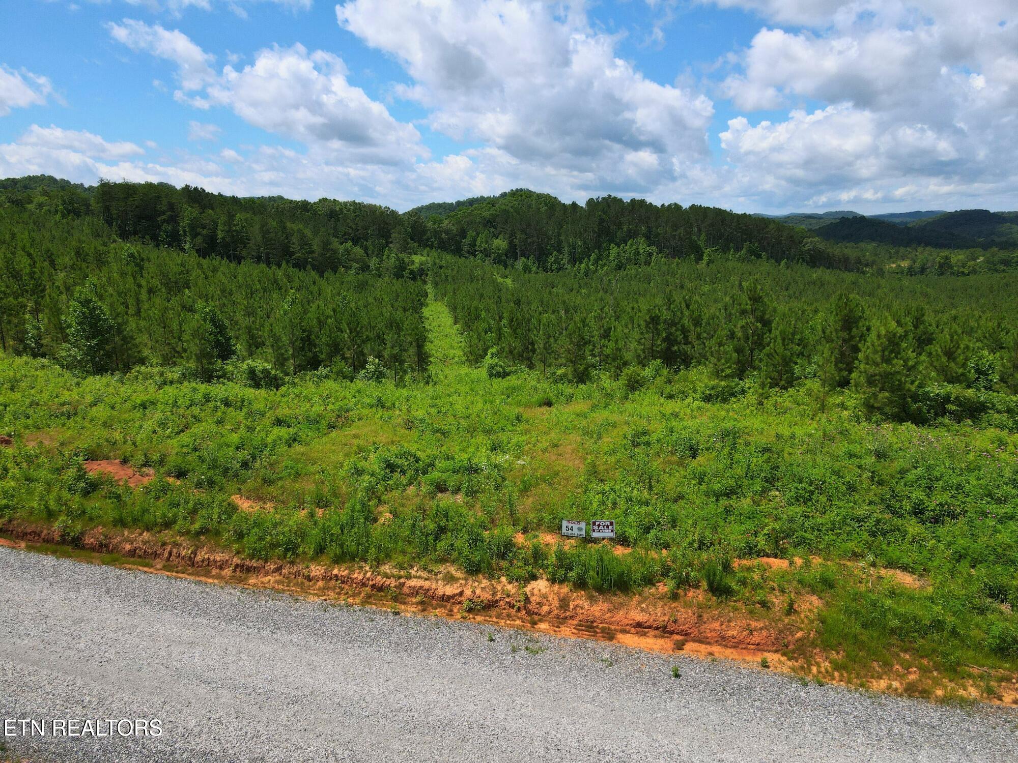 Lot 54 Three Point Road Vonore, TN 37885 - Photo 2 of 24 16