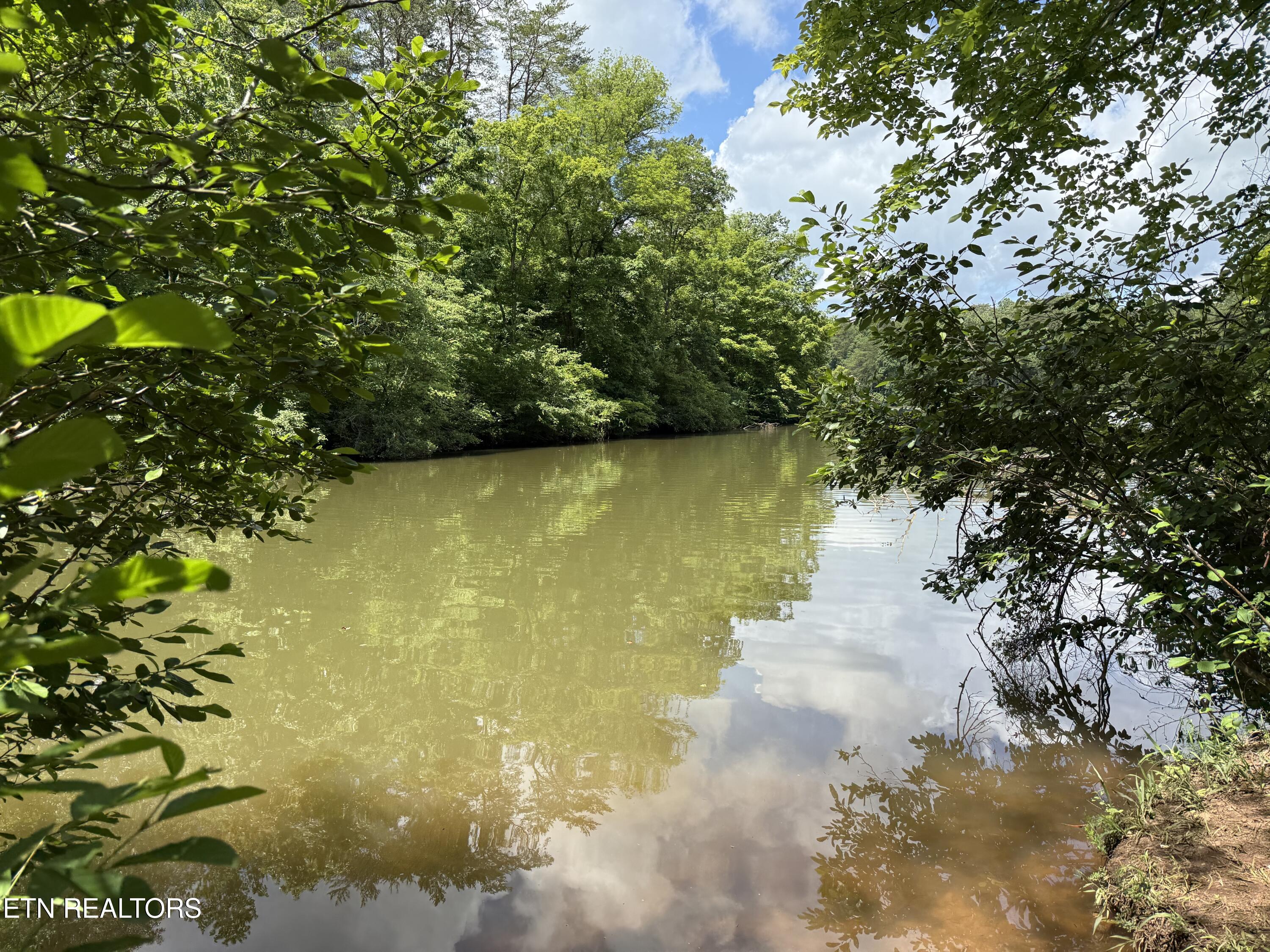 Lot 54 Three Point Road Vonore, TN 37885 - Photo 22 of 24 Community Lake Access