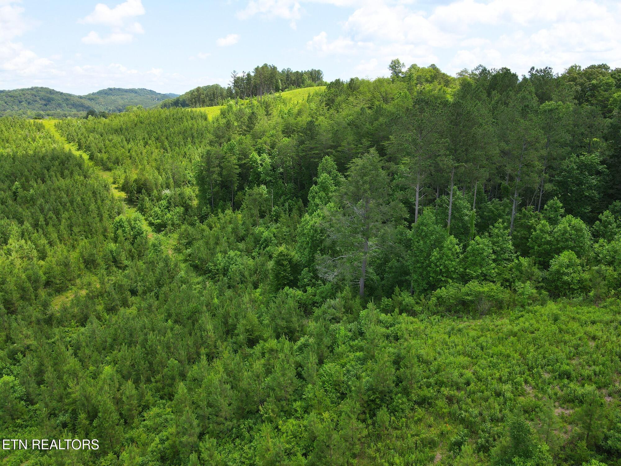 Lot 54 Three Point Road Vonore, TN 37885 - Photo 4 of 24 12
