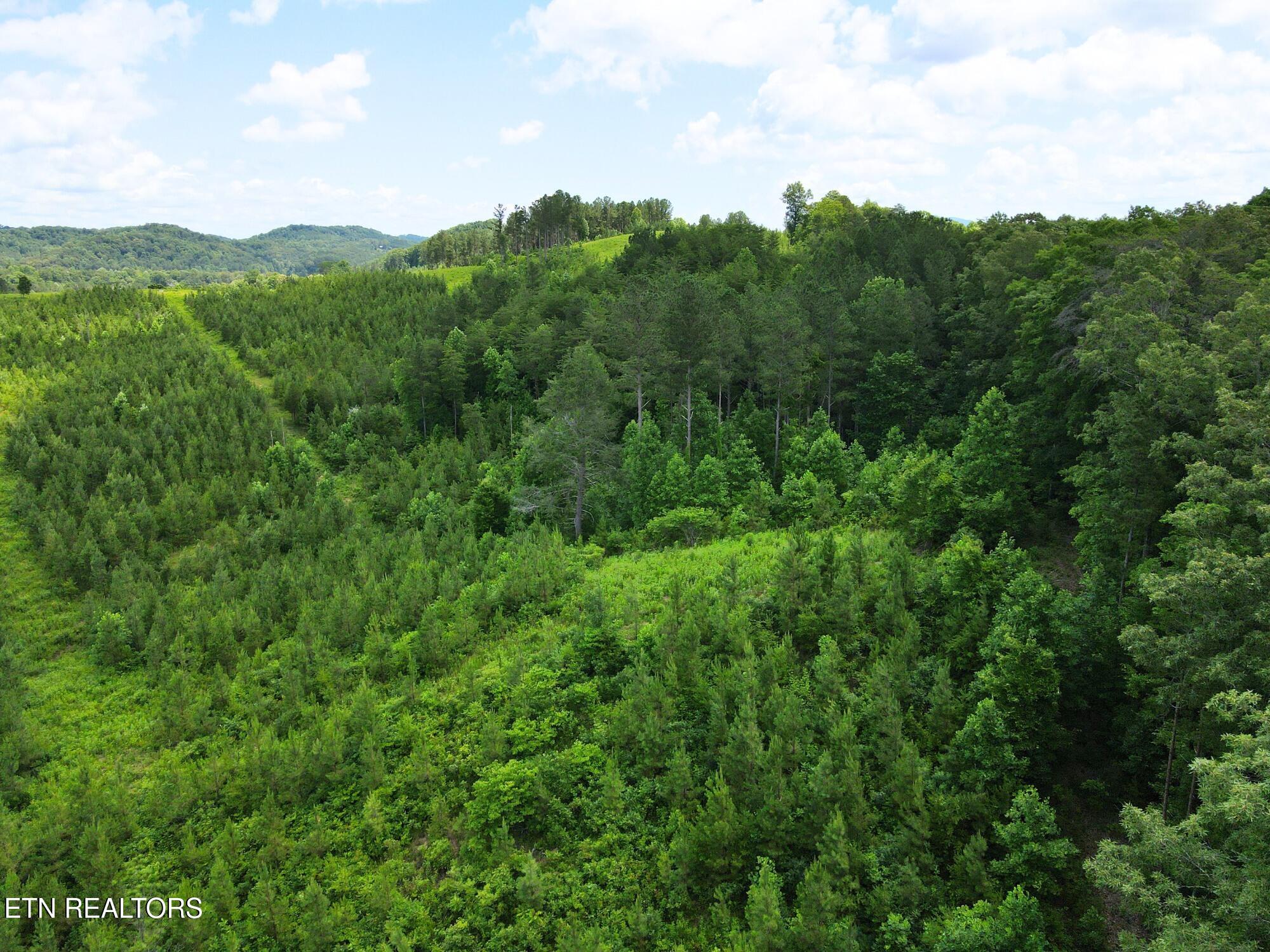 Lot 54 Three Point Road Vonore, TN 37885 - Photo 5 of 24 13