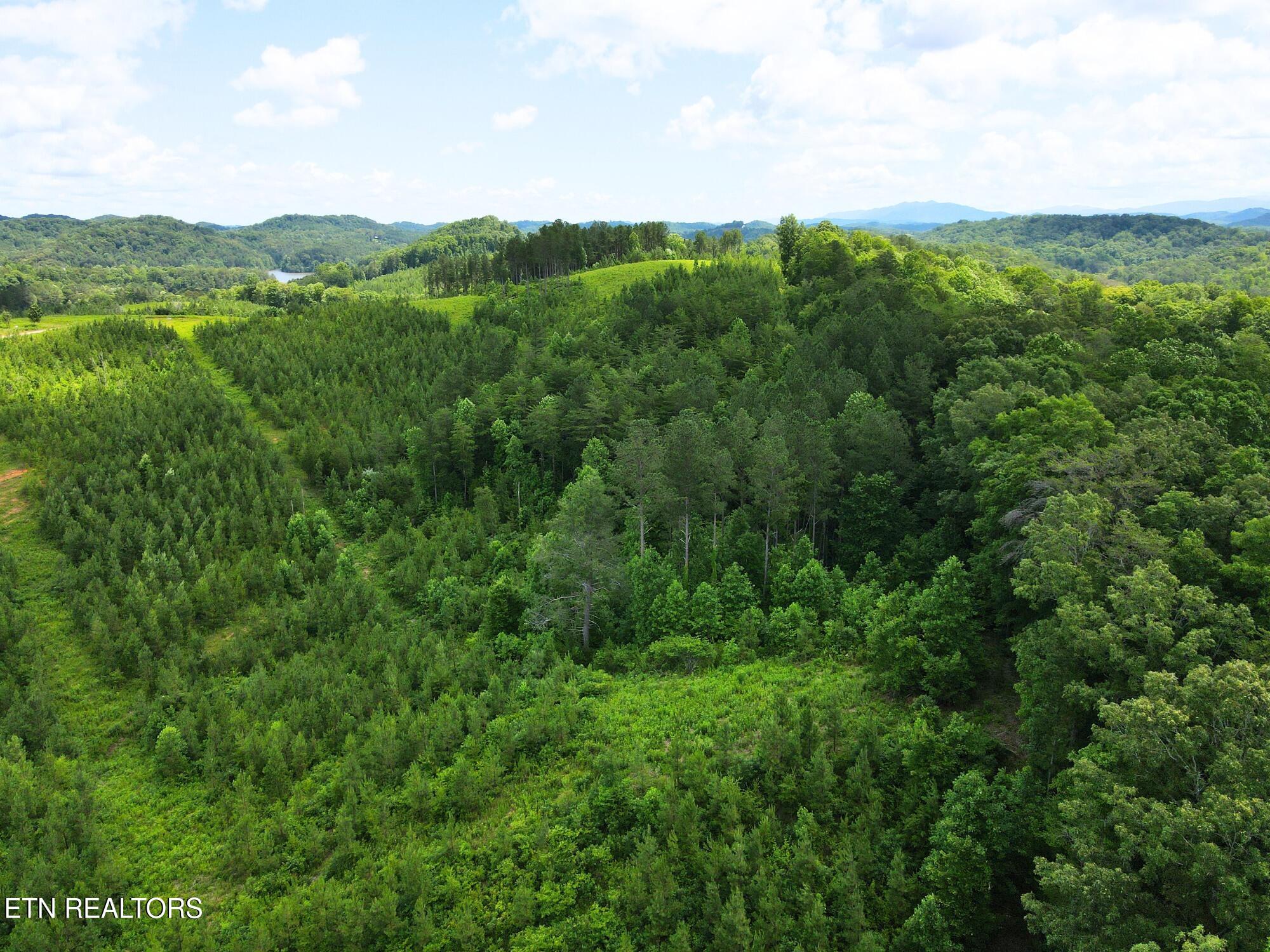 Lot 54 Three Point Road Vonore, TN 37885 - Photo 6 of 24 14
